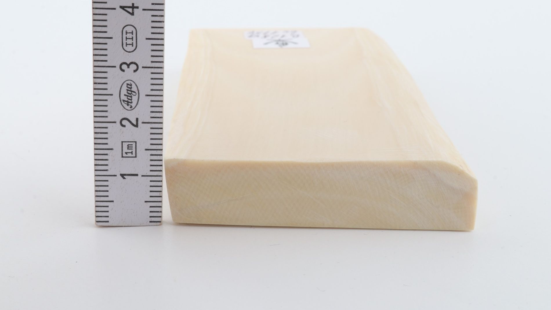 White mammoth ivory segment