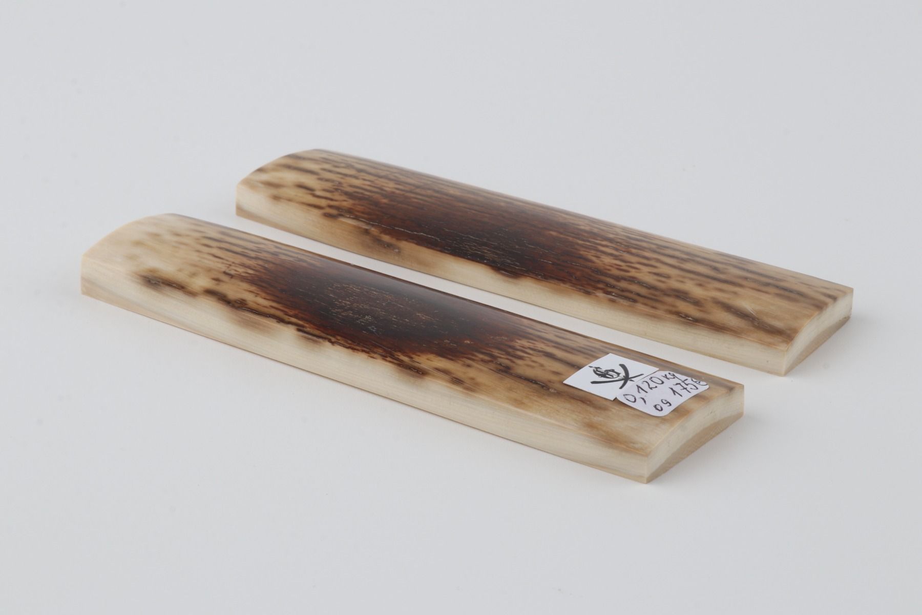 Natural mammoth bark scales