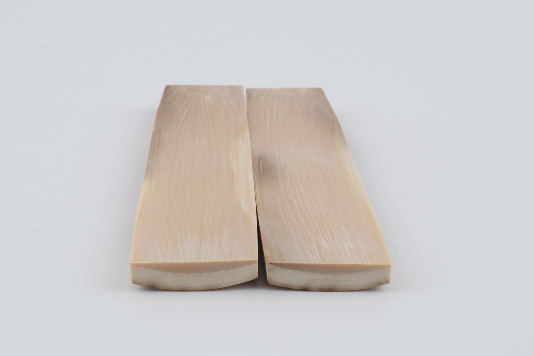 Natural mammoth bark scales