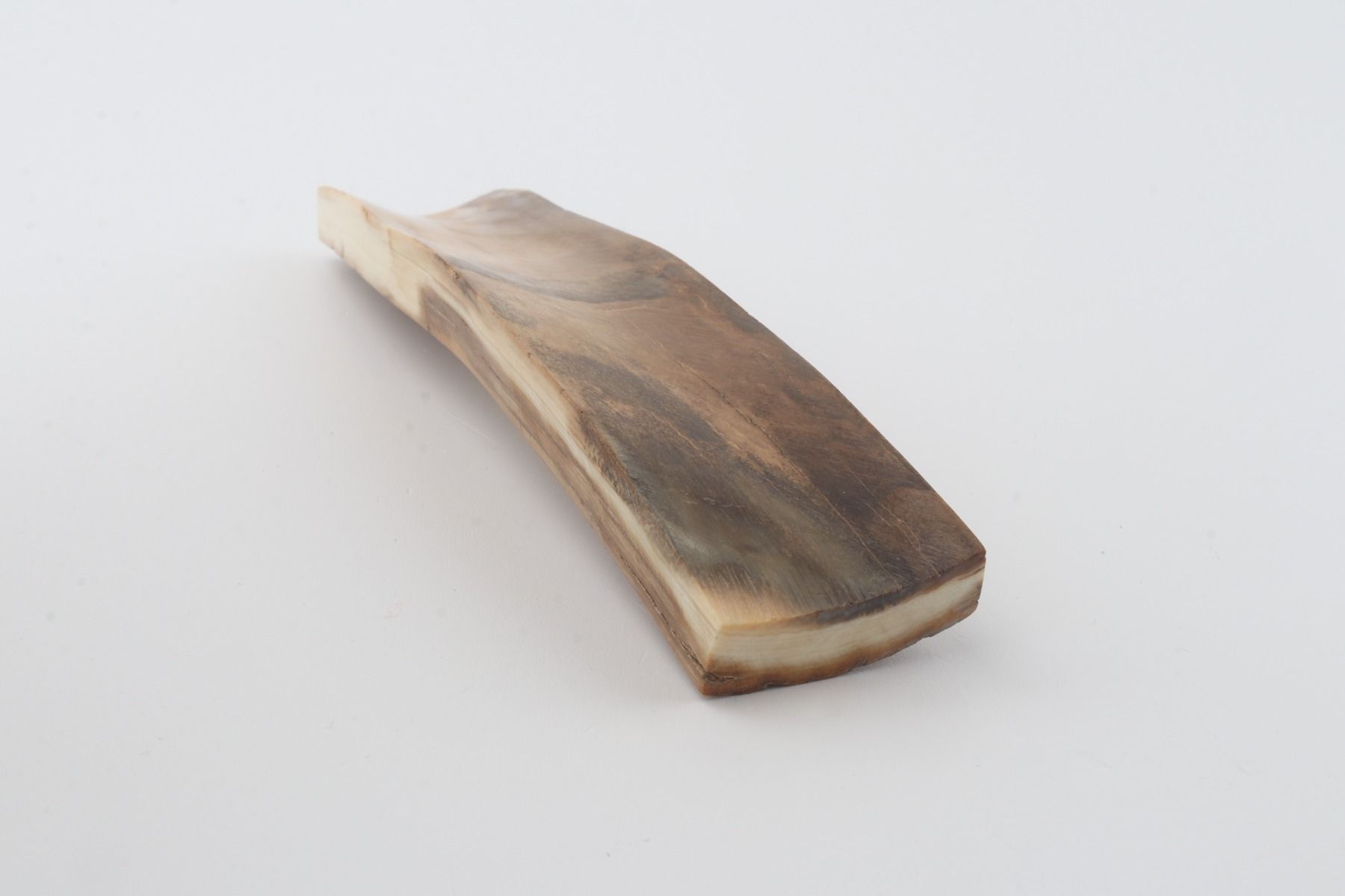 Beige mammoth bark