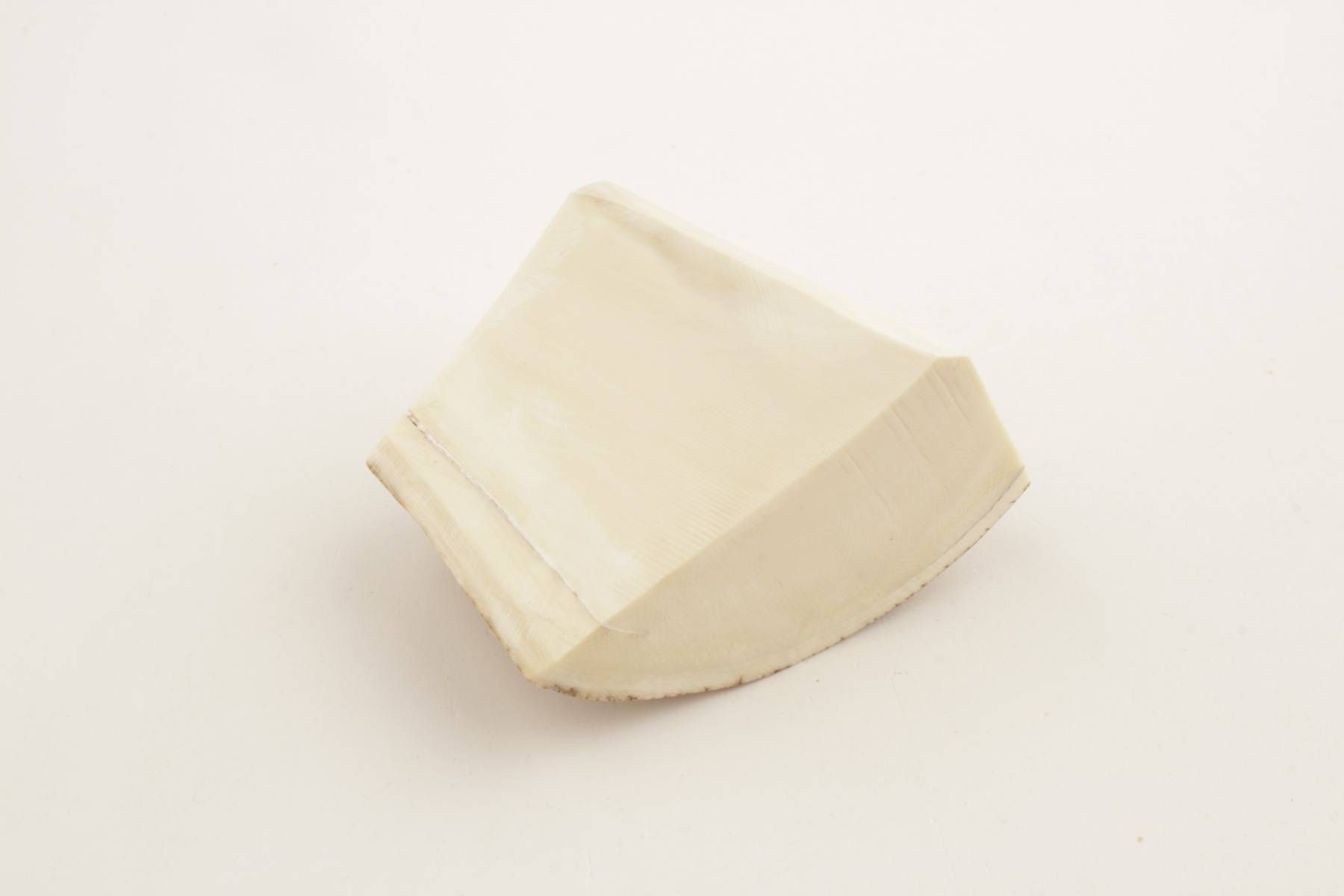 Natural mammoth ivory offcut