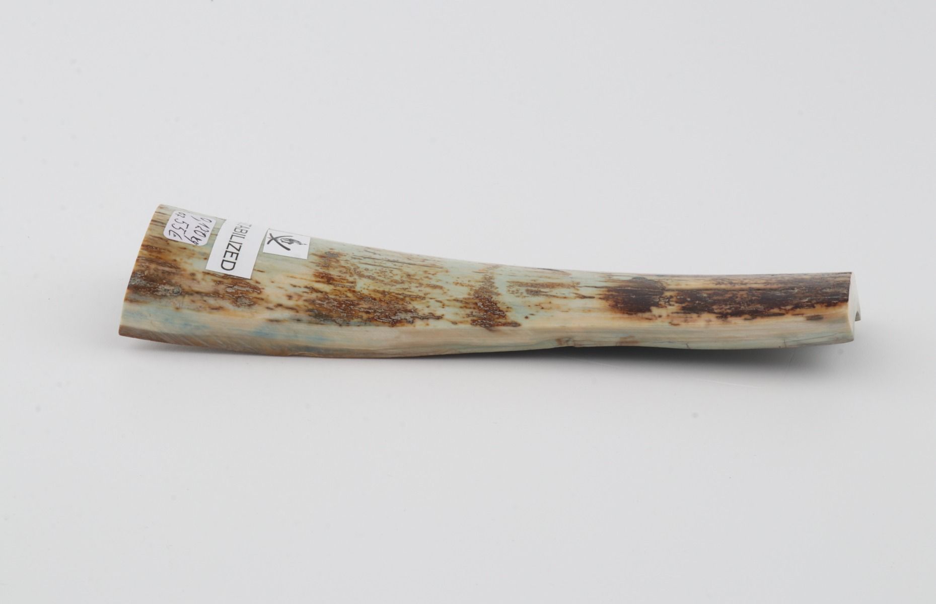 Stabilised mammoth bark