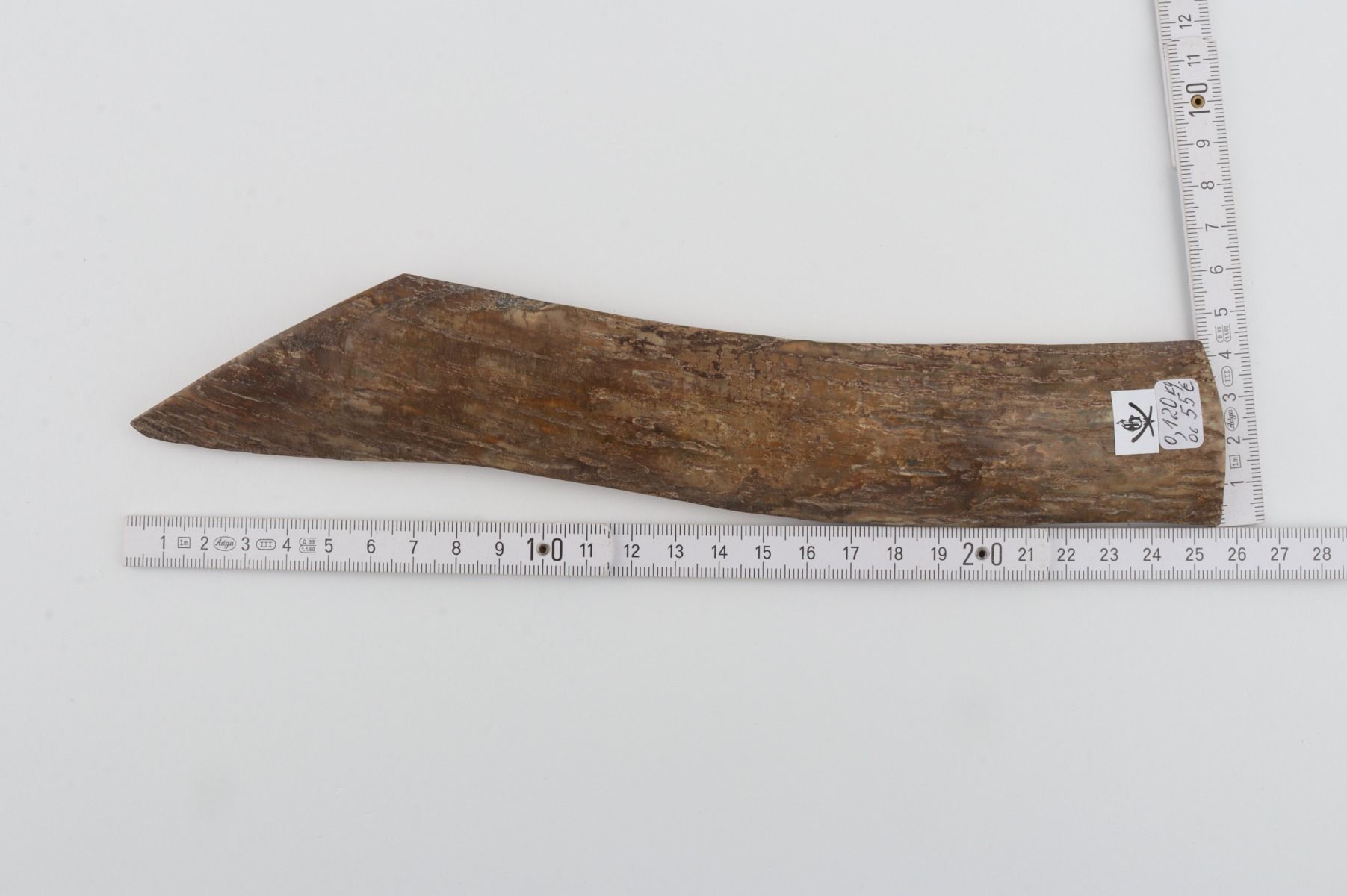 Beige mammoth bark