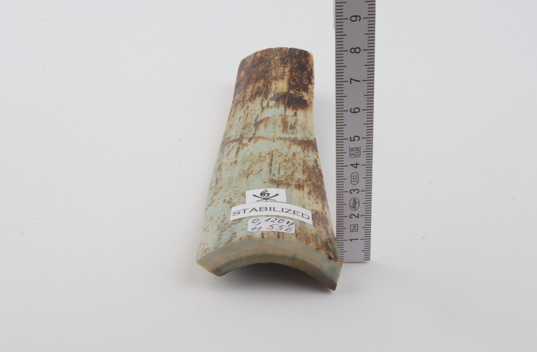 Stabilised mammoth bark