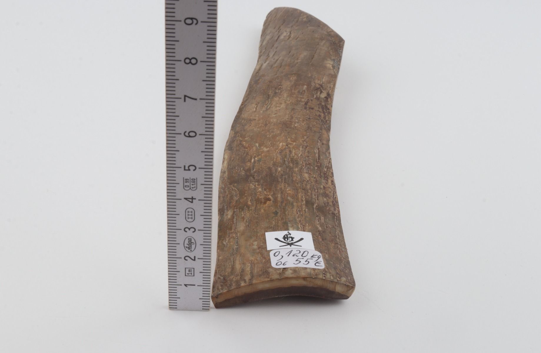 Beige mammoth bark