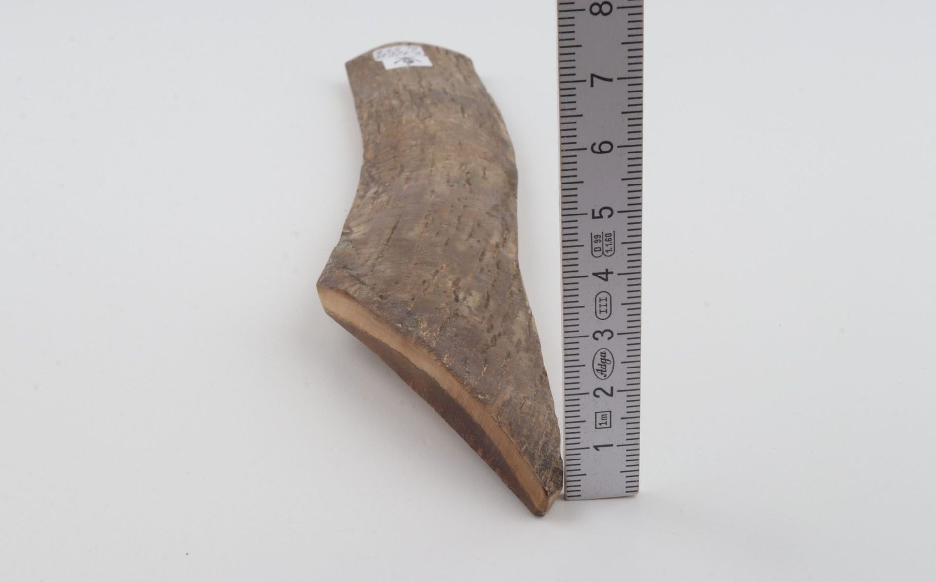 Beige mammoth bark