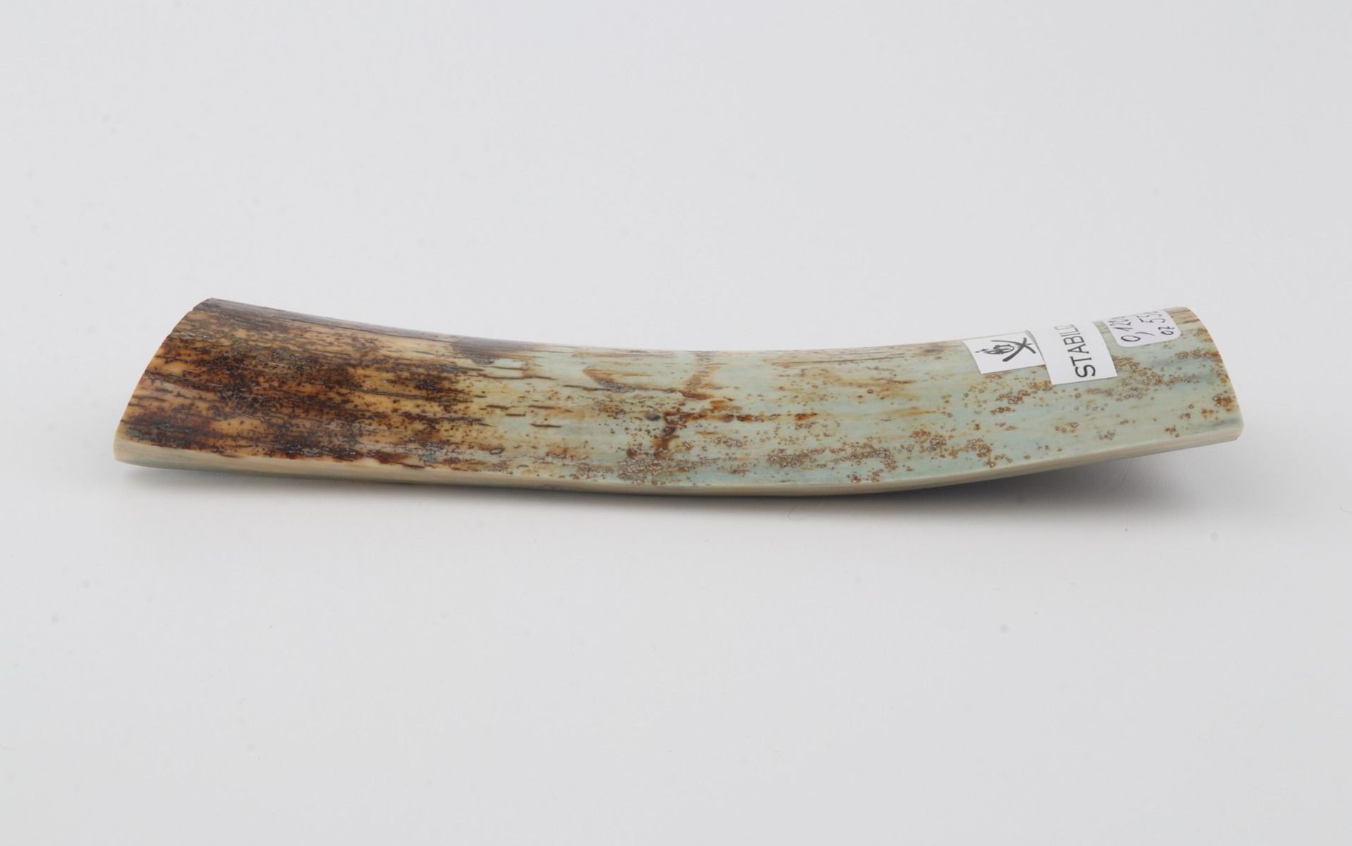 Stabilised mammoth bark