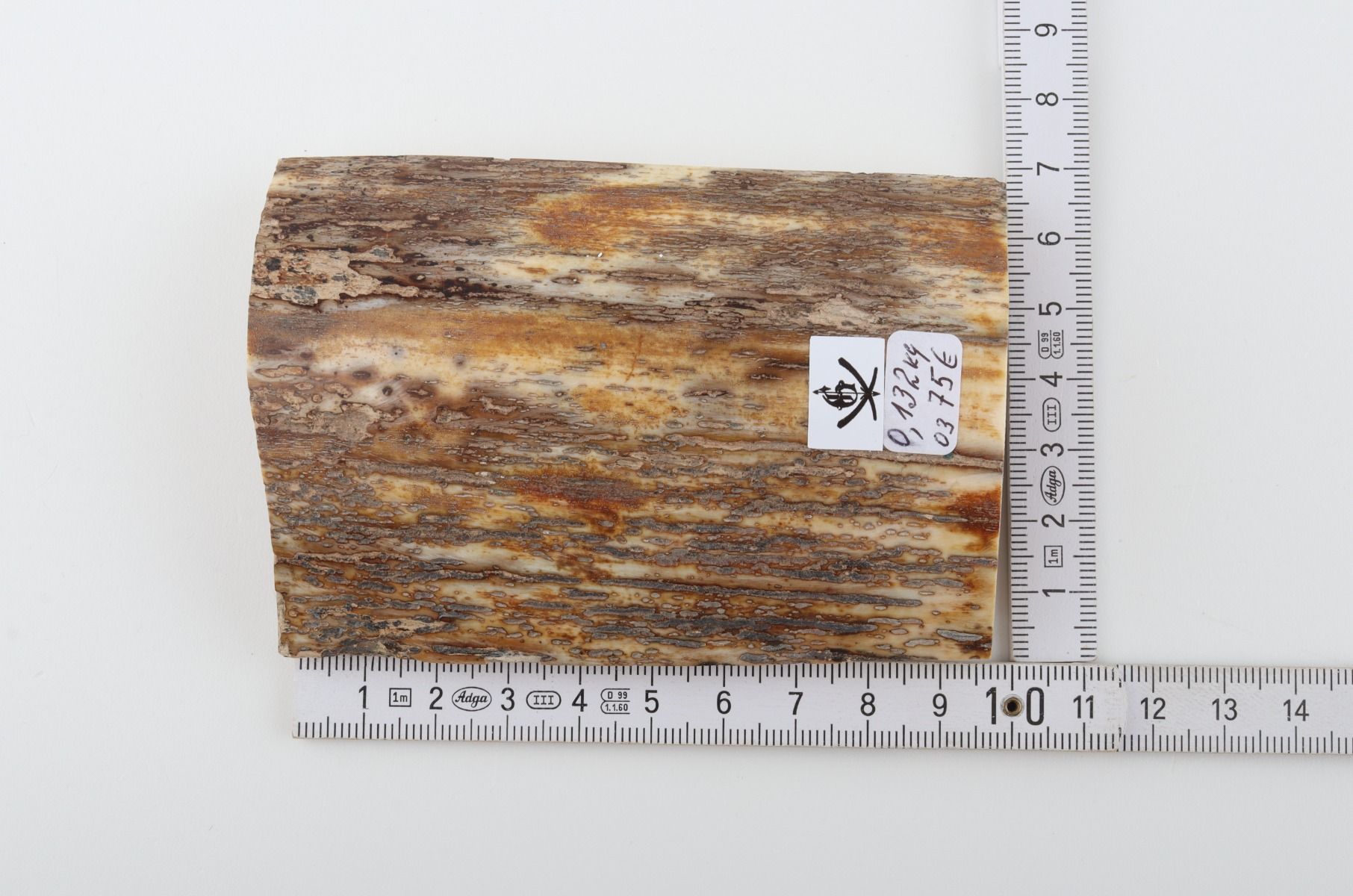 Beige-orange mammoth bark