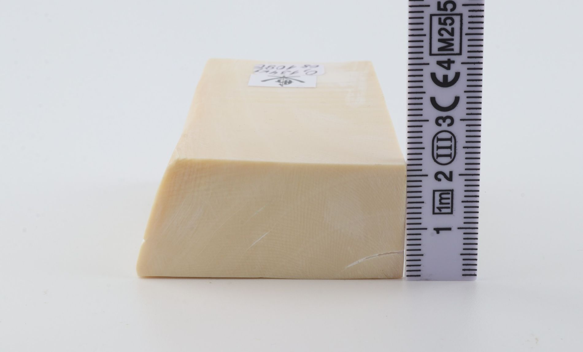 White mammoth ivory segment