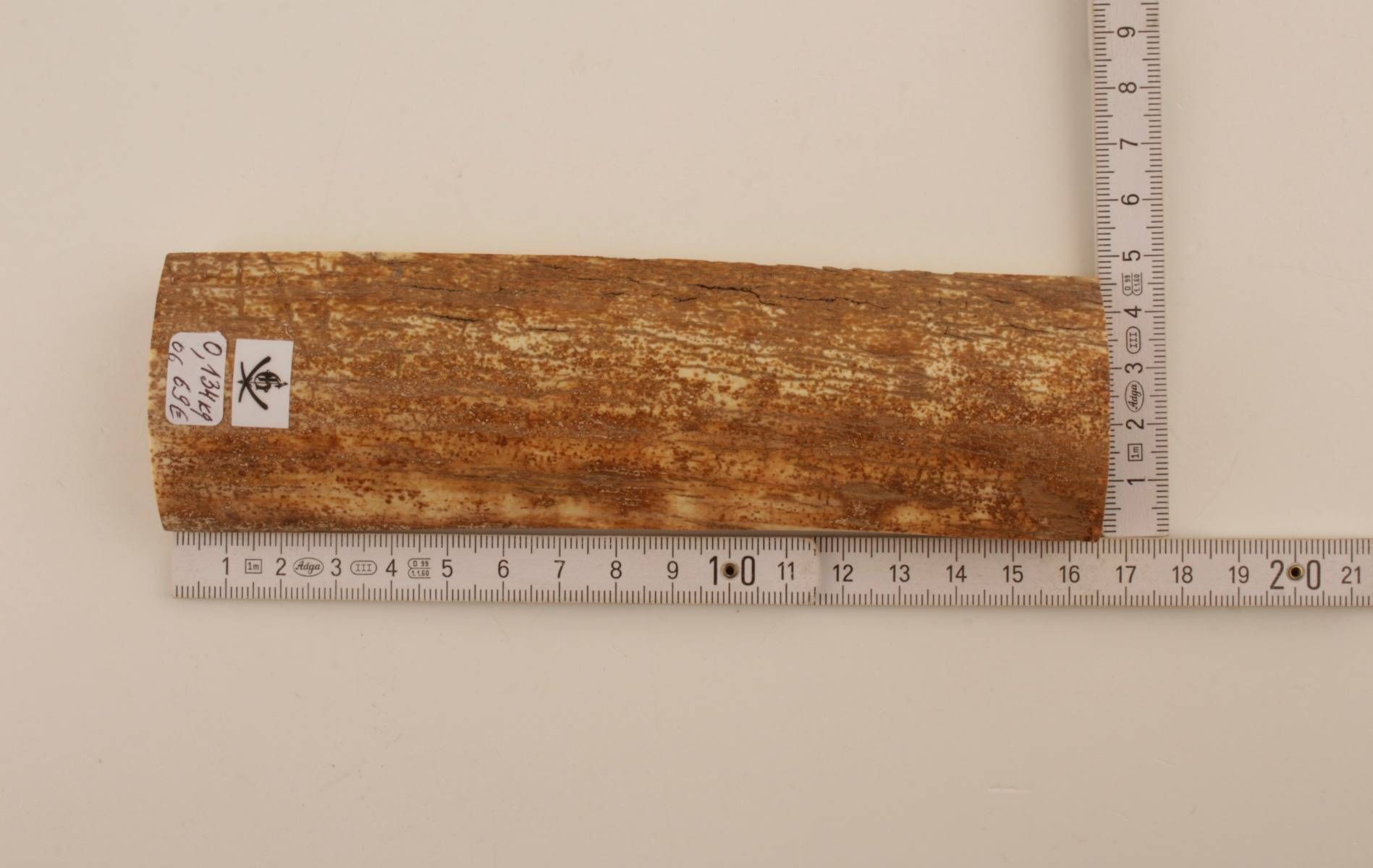 Beige-orange mammoth bark
