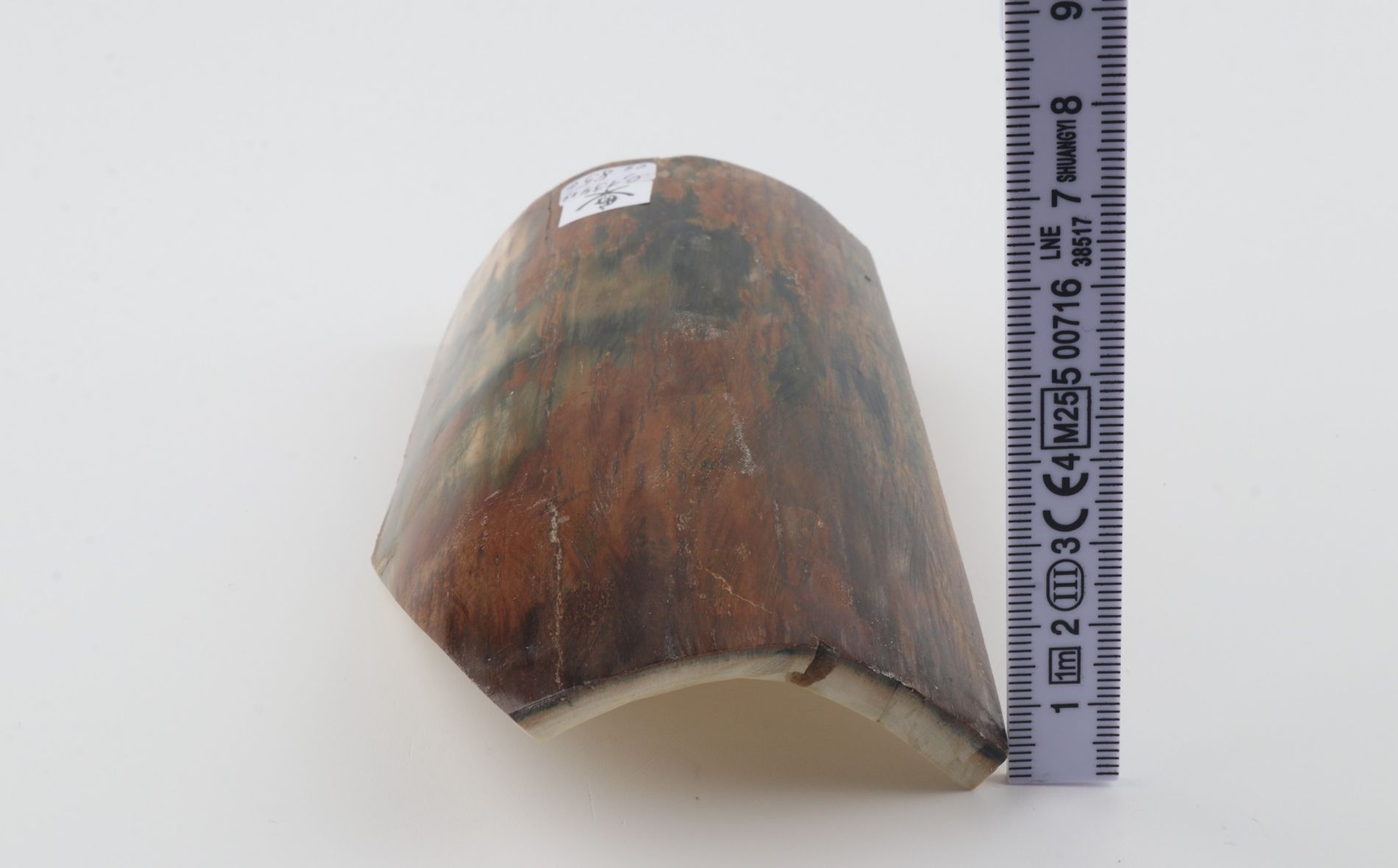Natural woolly mammoth bark