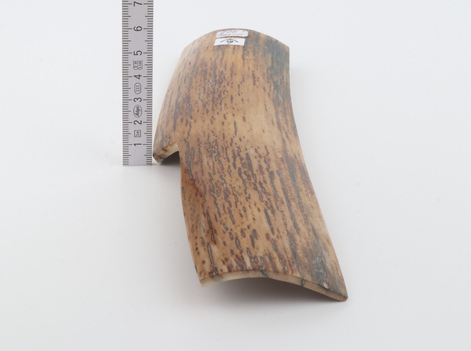 Natural mammoth bark