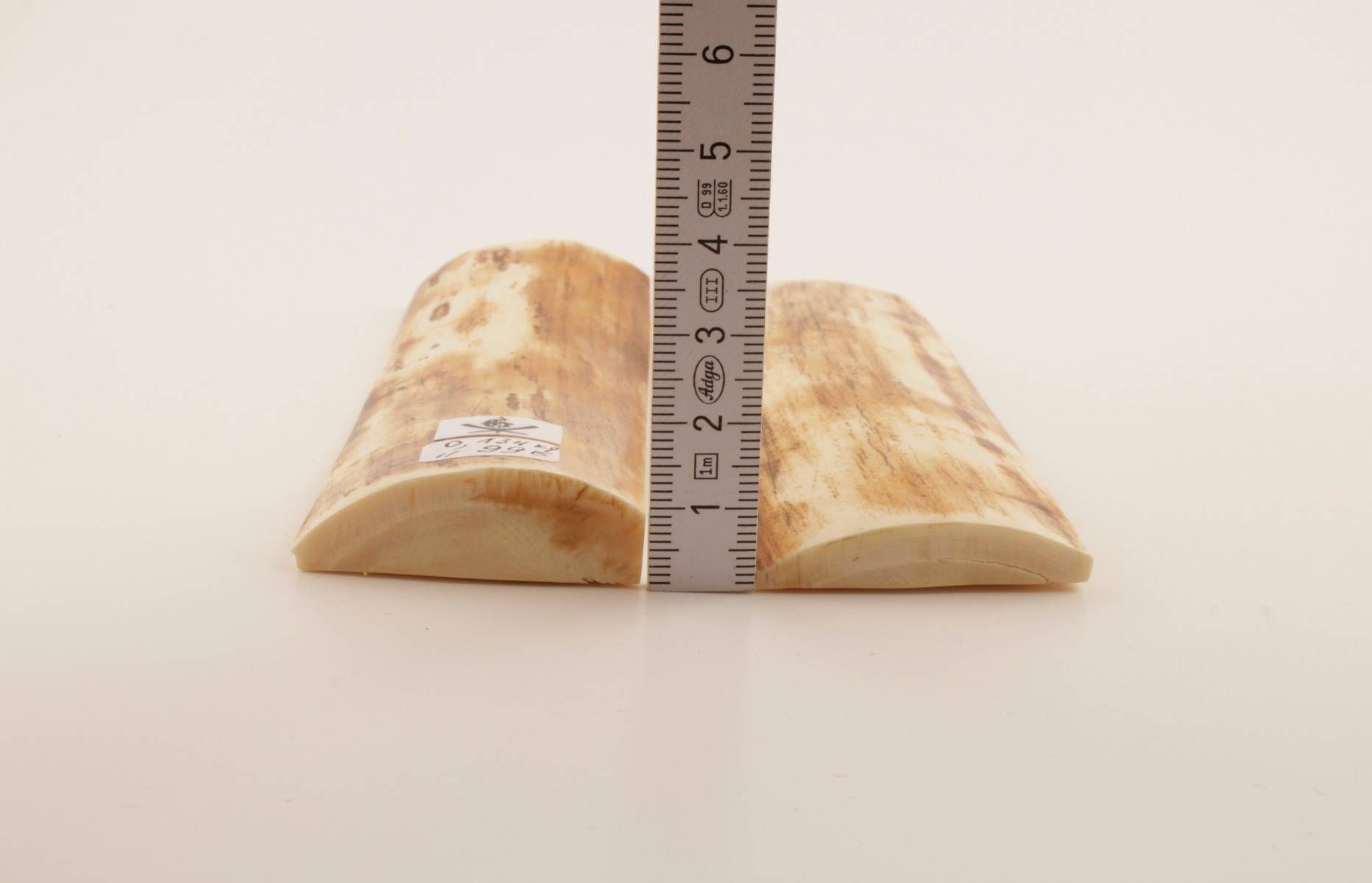 Orange-white natural mammoth bark scales