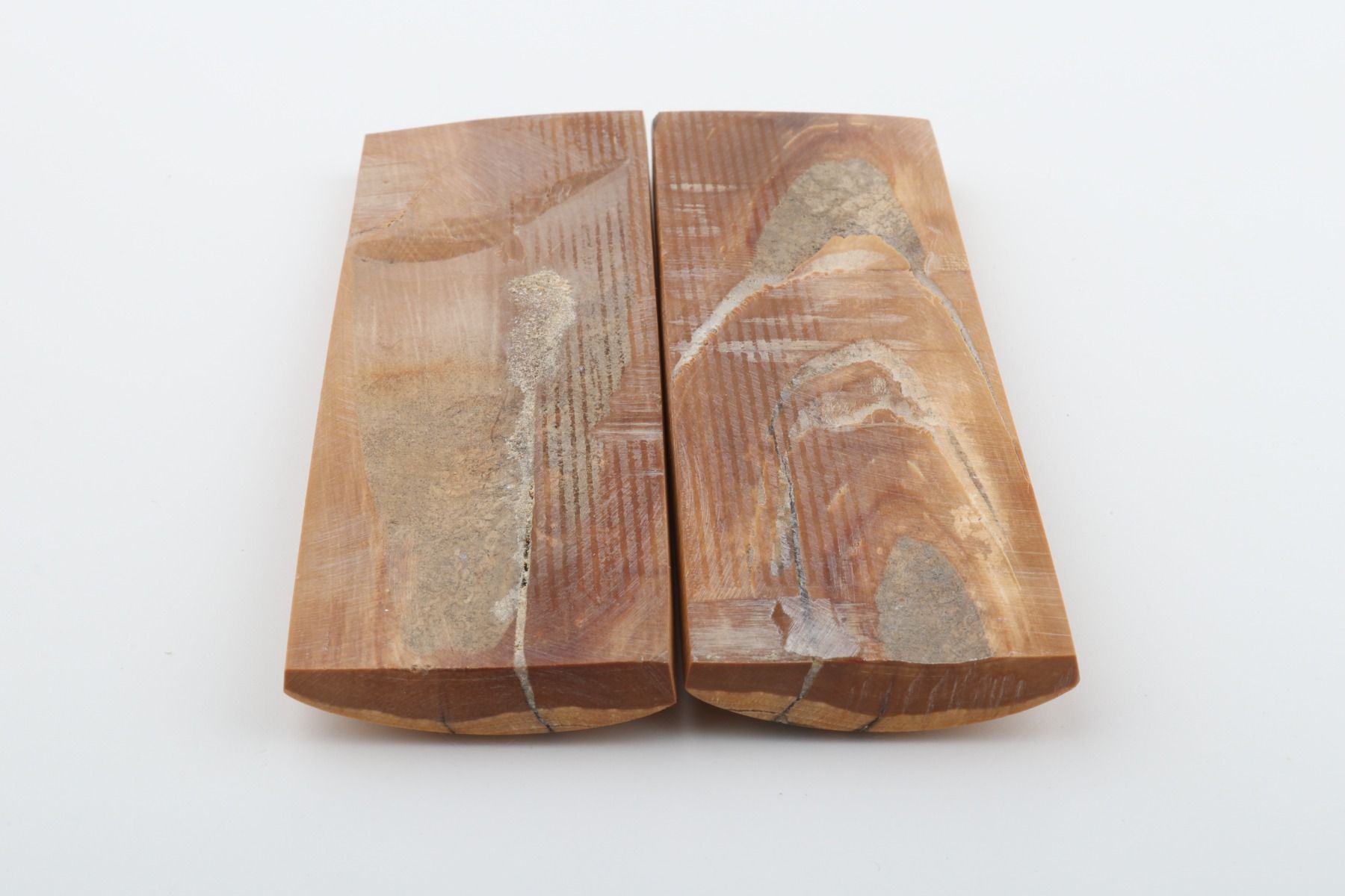 Stabilised mammoth bark scales