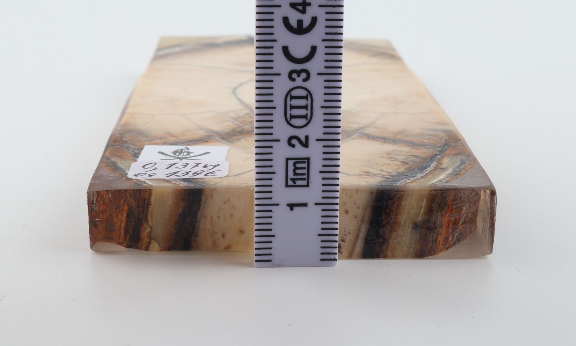 Stabilized mammoth ivory scales