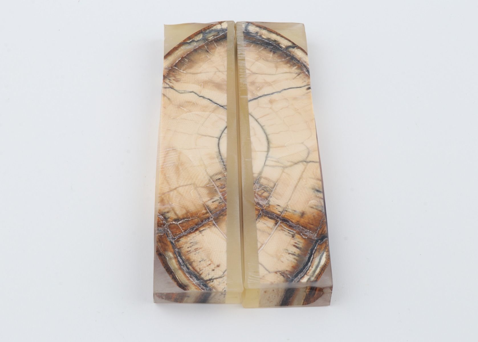 Stabilized mammoth ivory scales