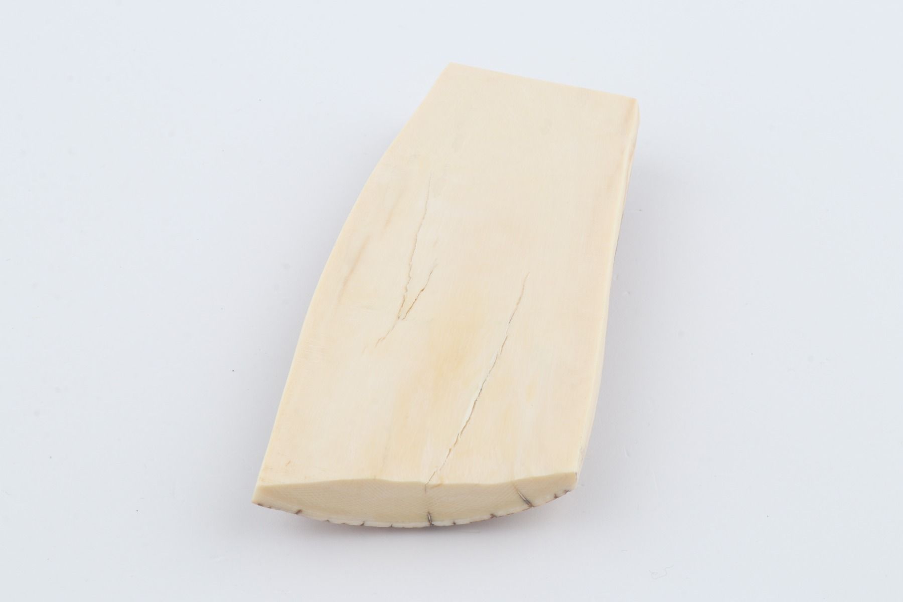 Natural mammoth ivory piece