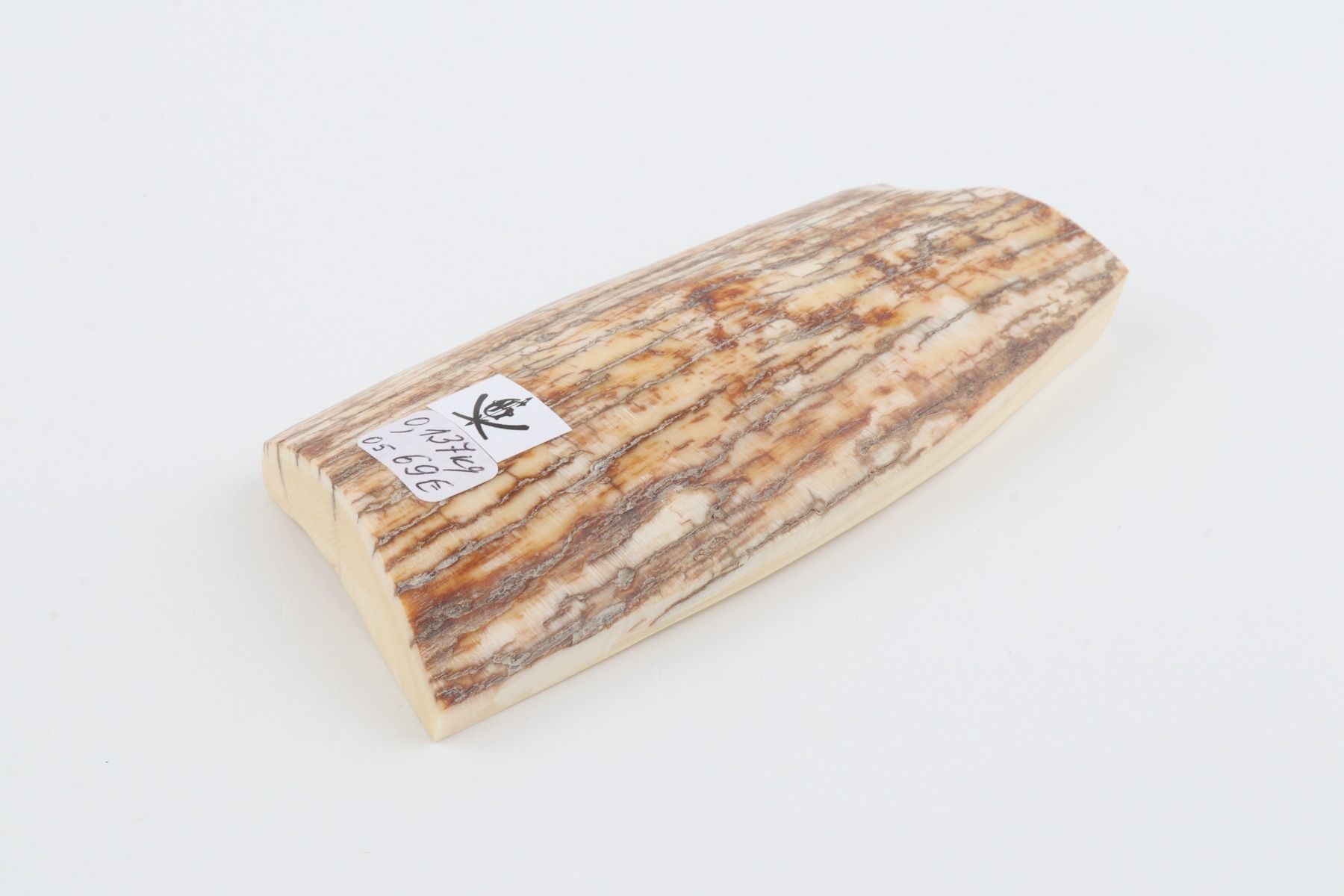 Natural mammoth ivory piece