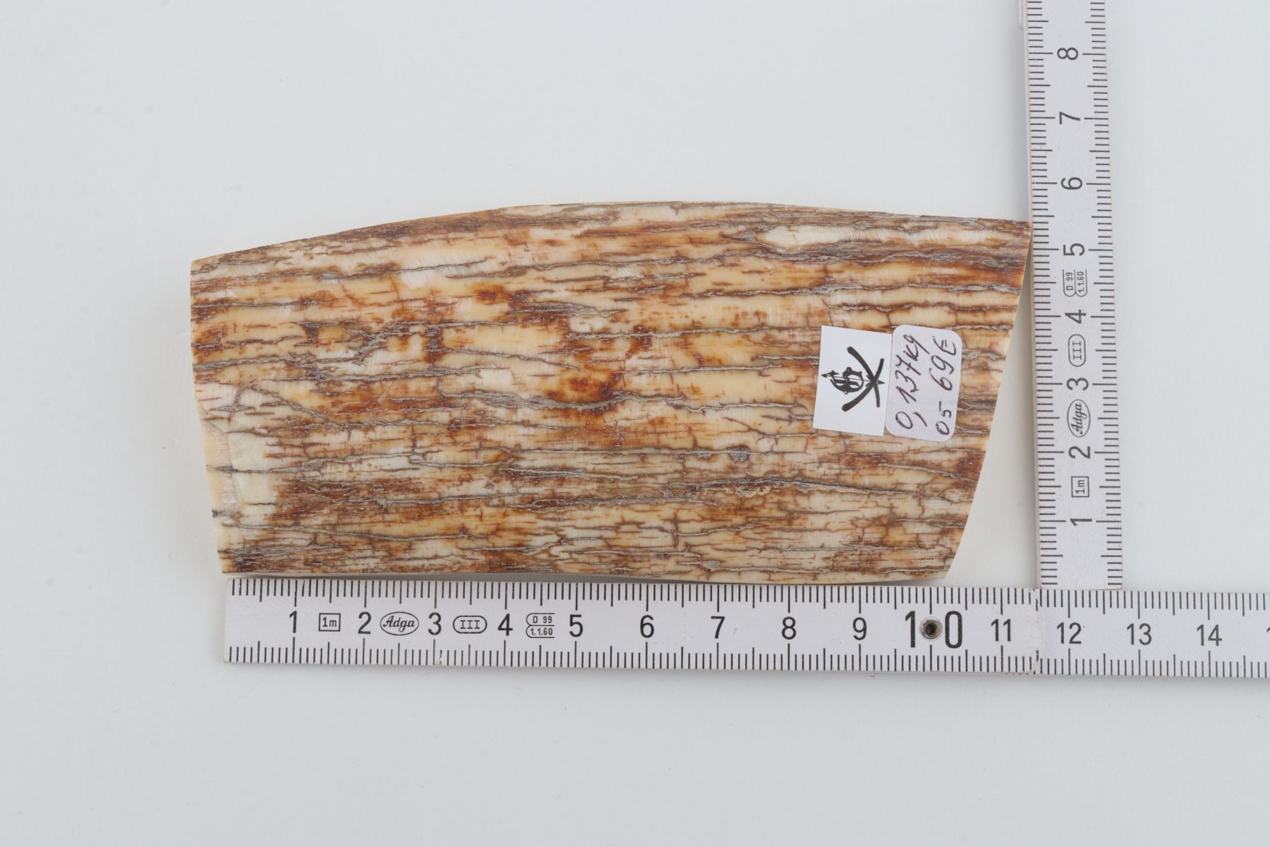 Natural mammoth ivory piece