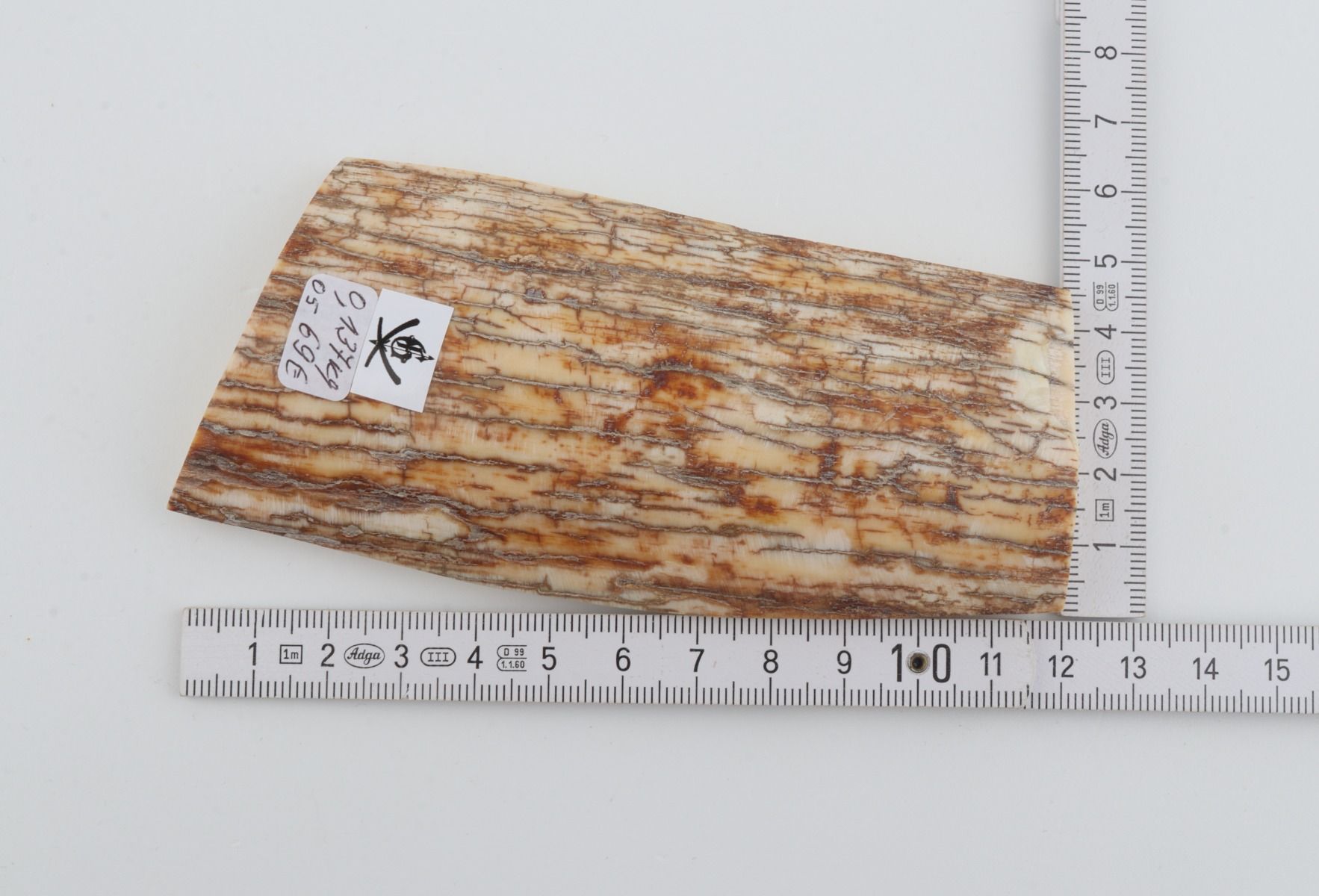 Natural mammoth ivory piece
