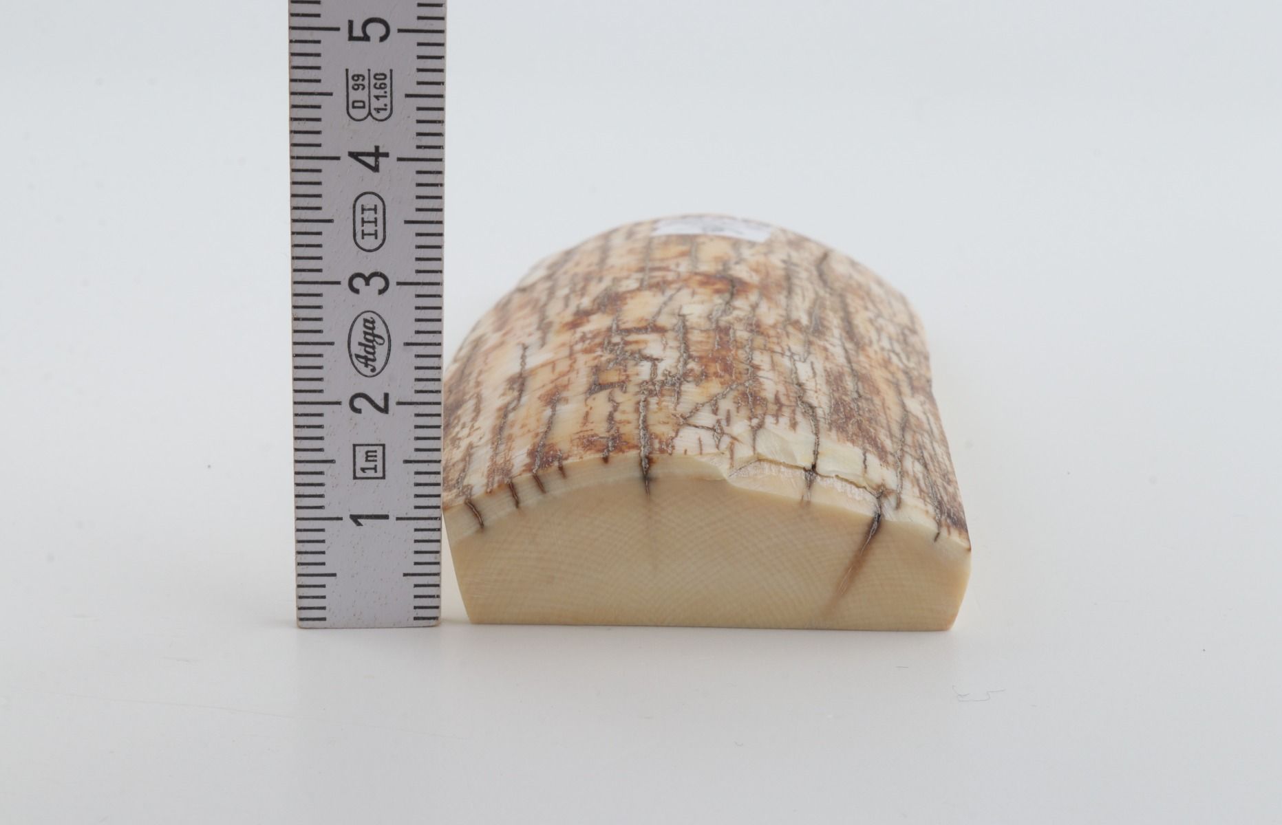 Natural mammoth ivory piece