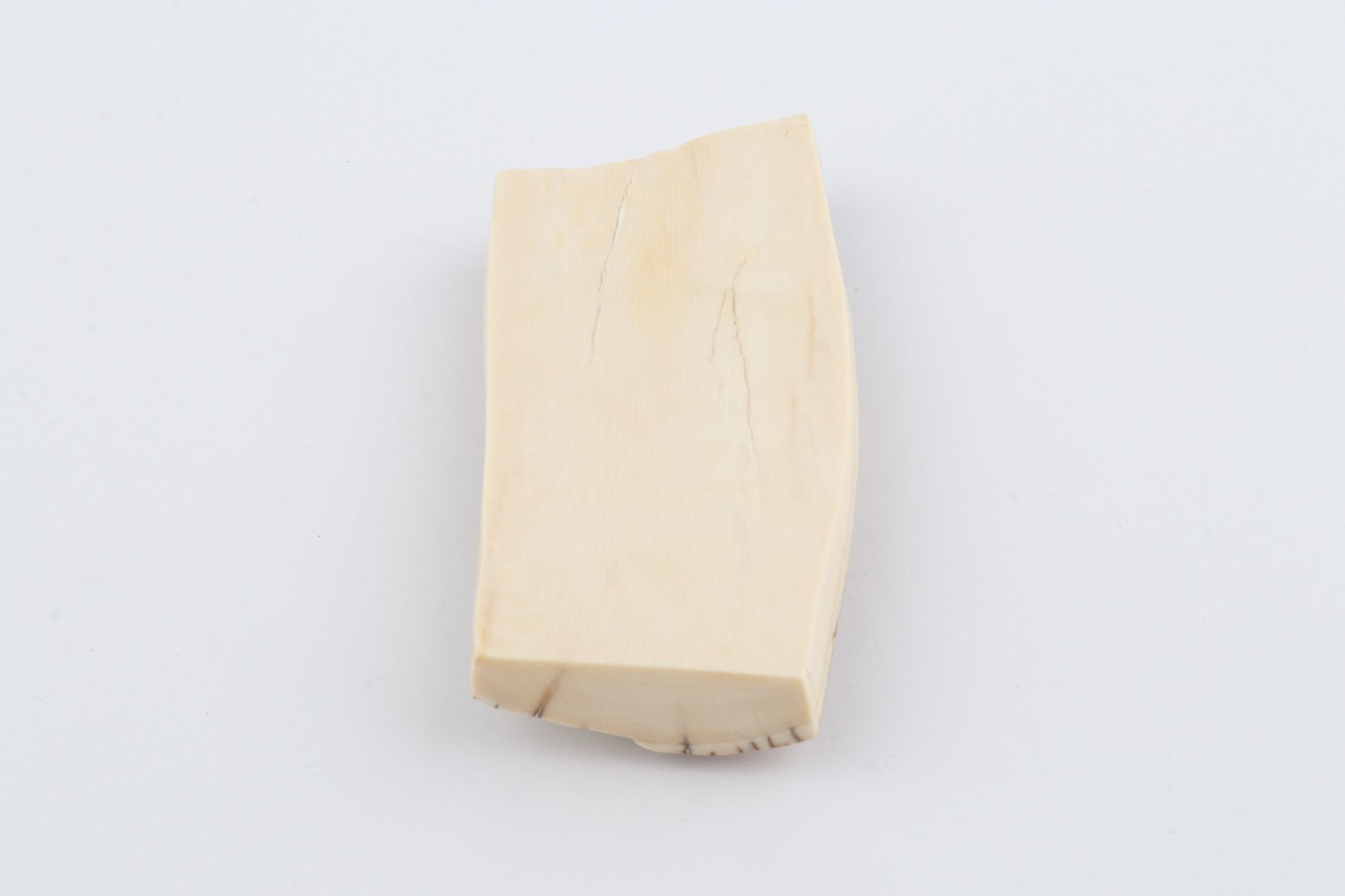 Natural mammoth ivory piece