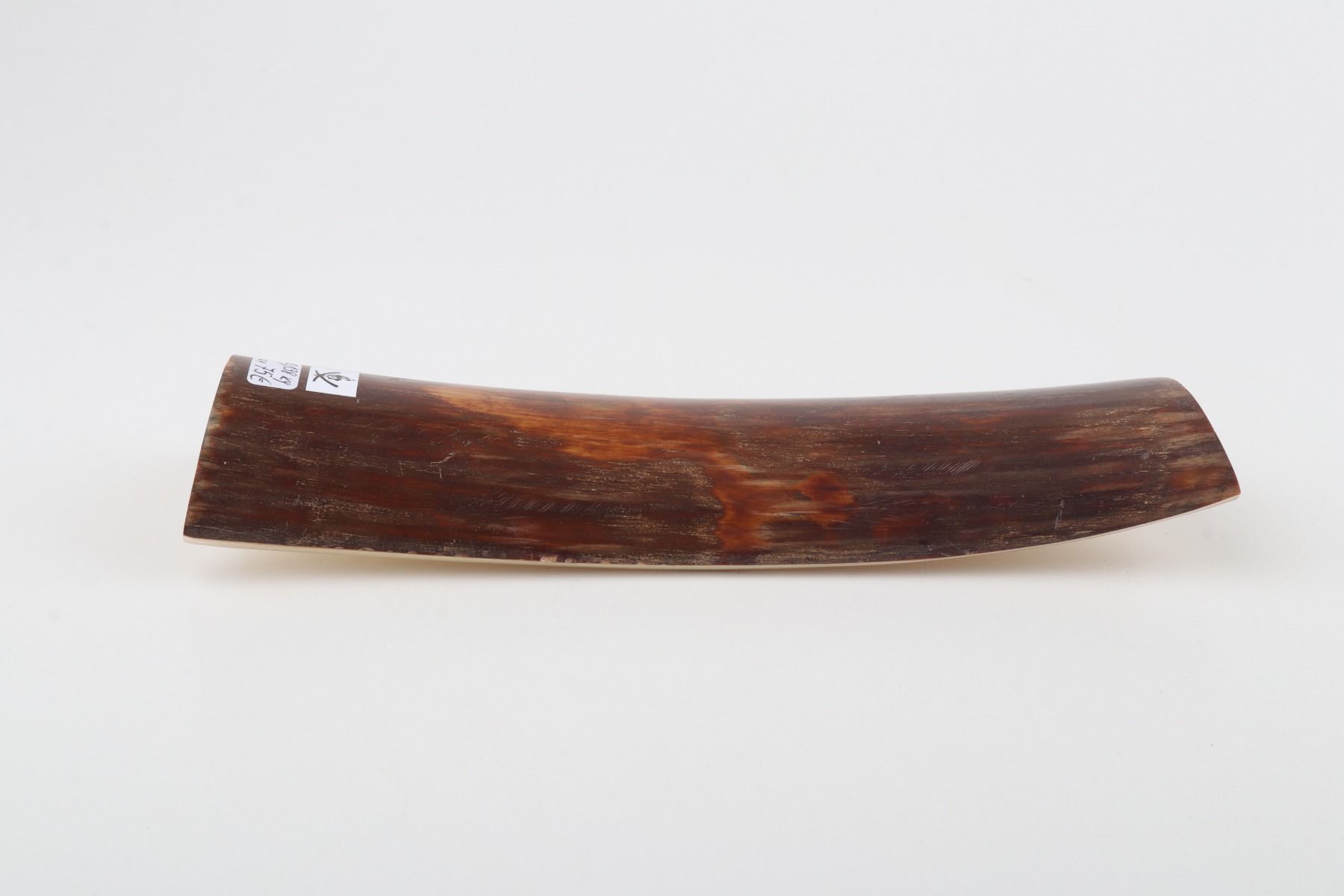 Brown-red mammoth bark