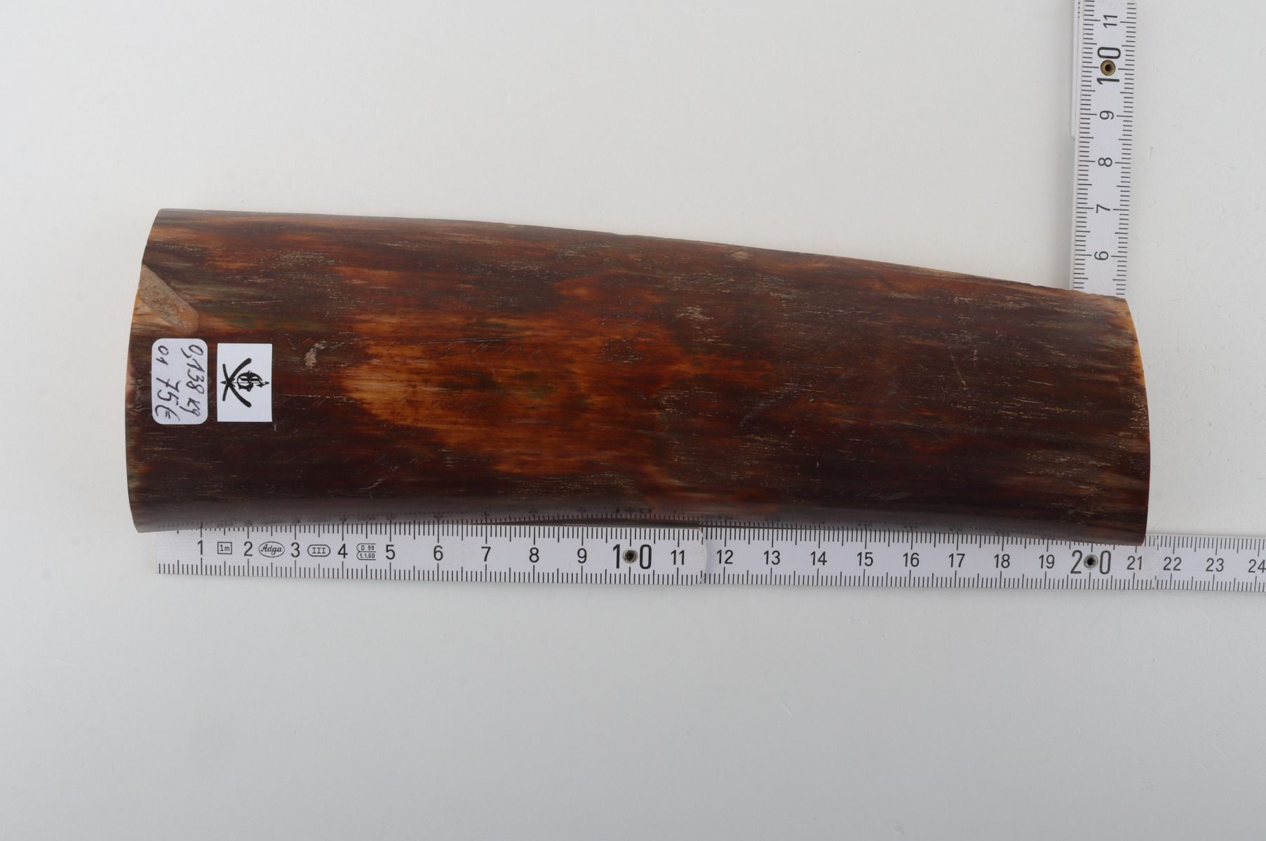 Brown-red mammoth bark