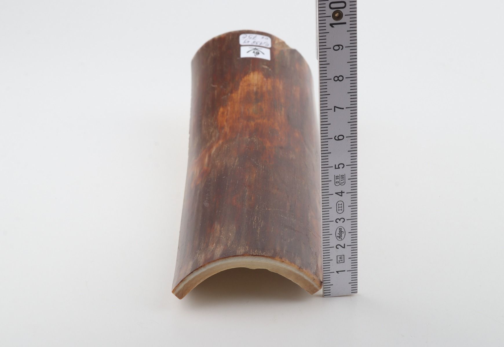 Brown-red mammoth bark