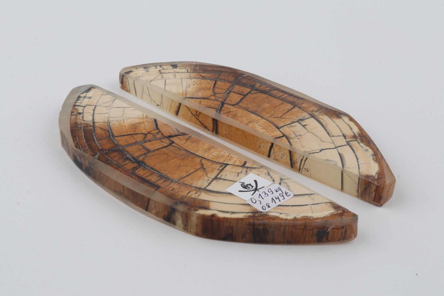 Stabilized mammoth ivory scales