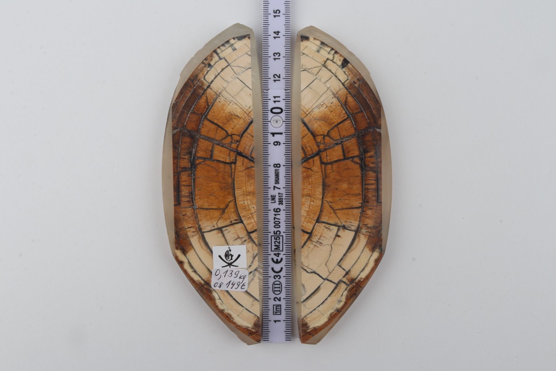 Stabilized mammoth ivory scales