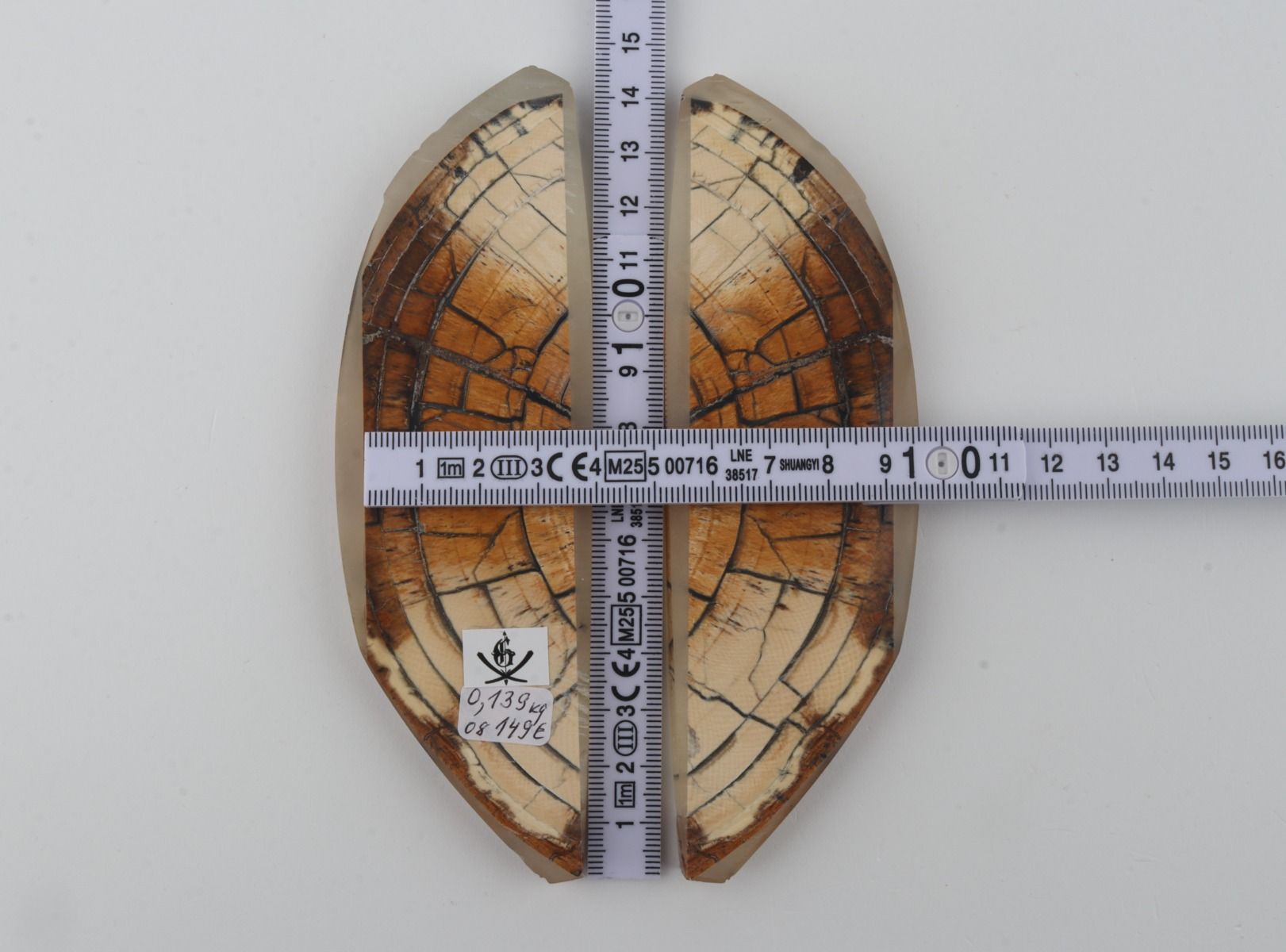 Stabilized mammoth ivory scales