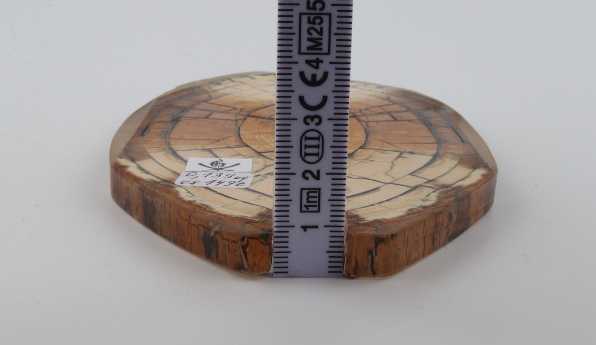 Stabilized mammoth ivory scales