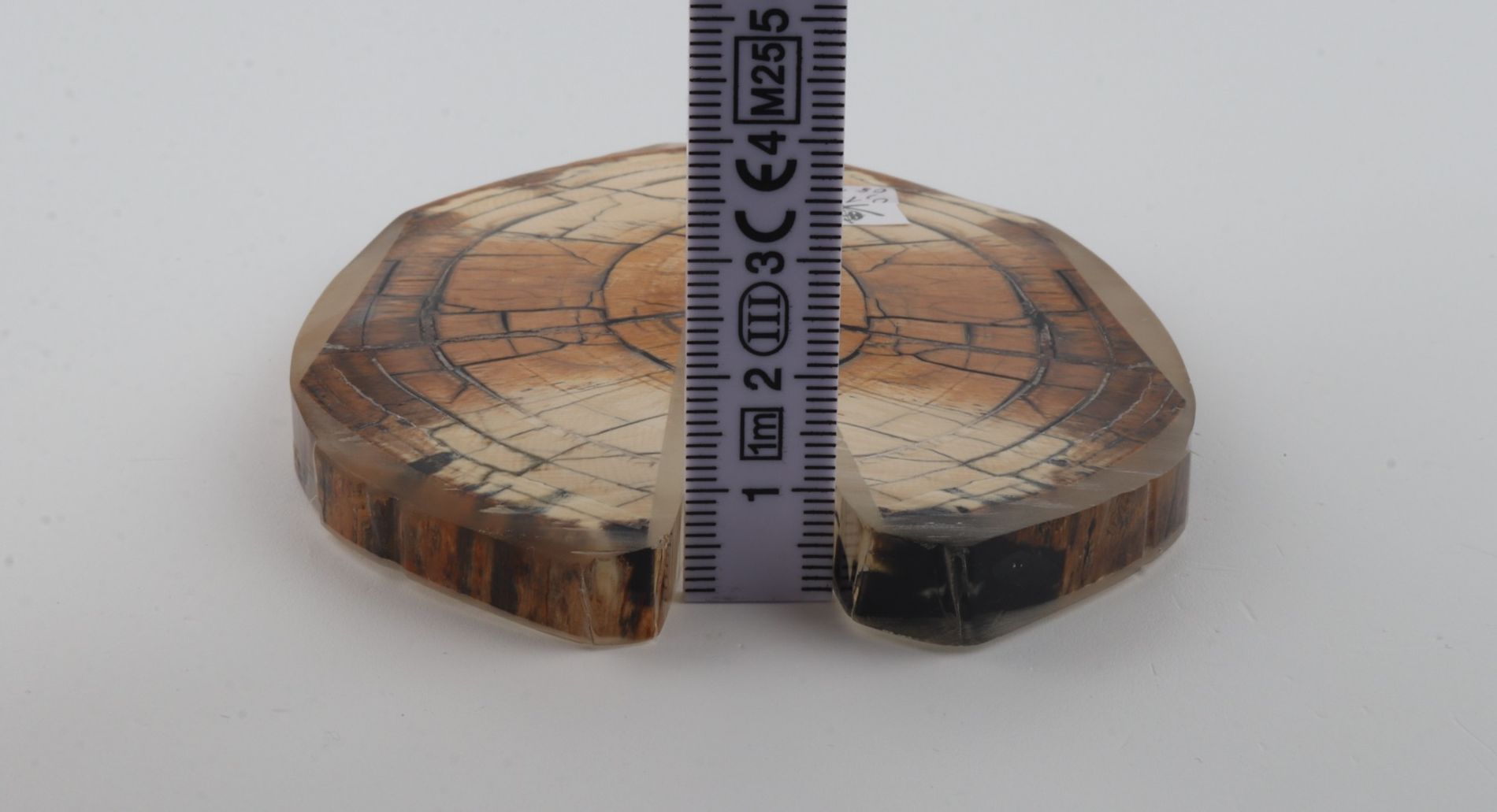 Stabilized mammoth ivory scales