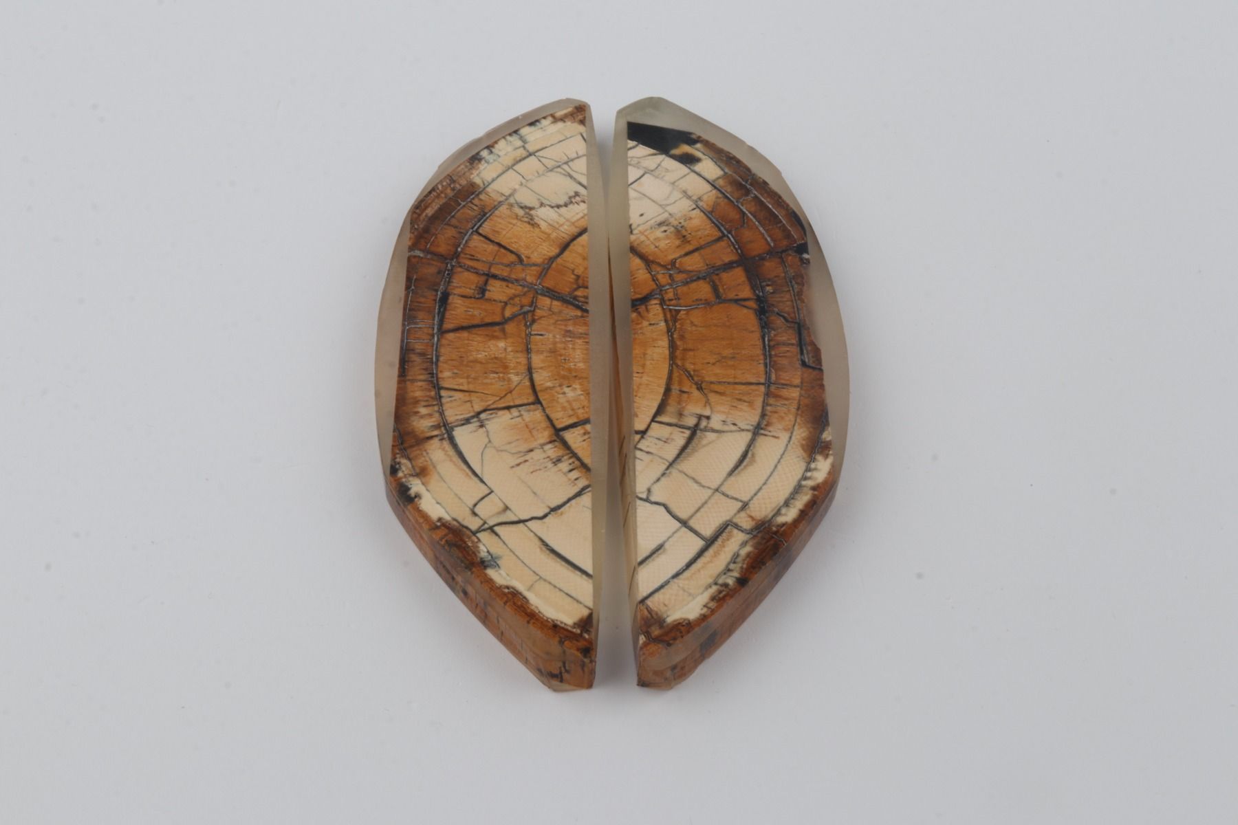 Stabilized mammoth ivory scales