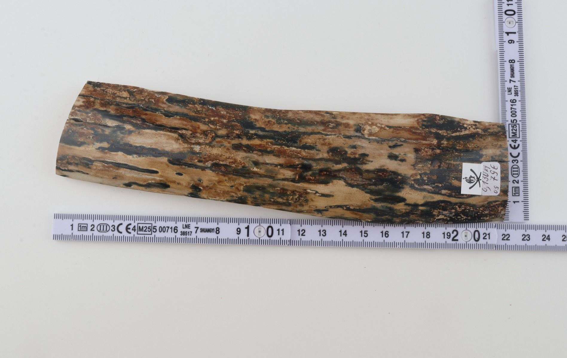 Beige-blue mammoth bark