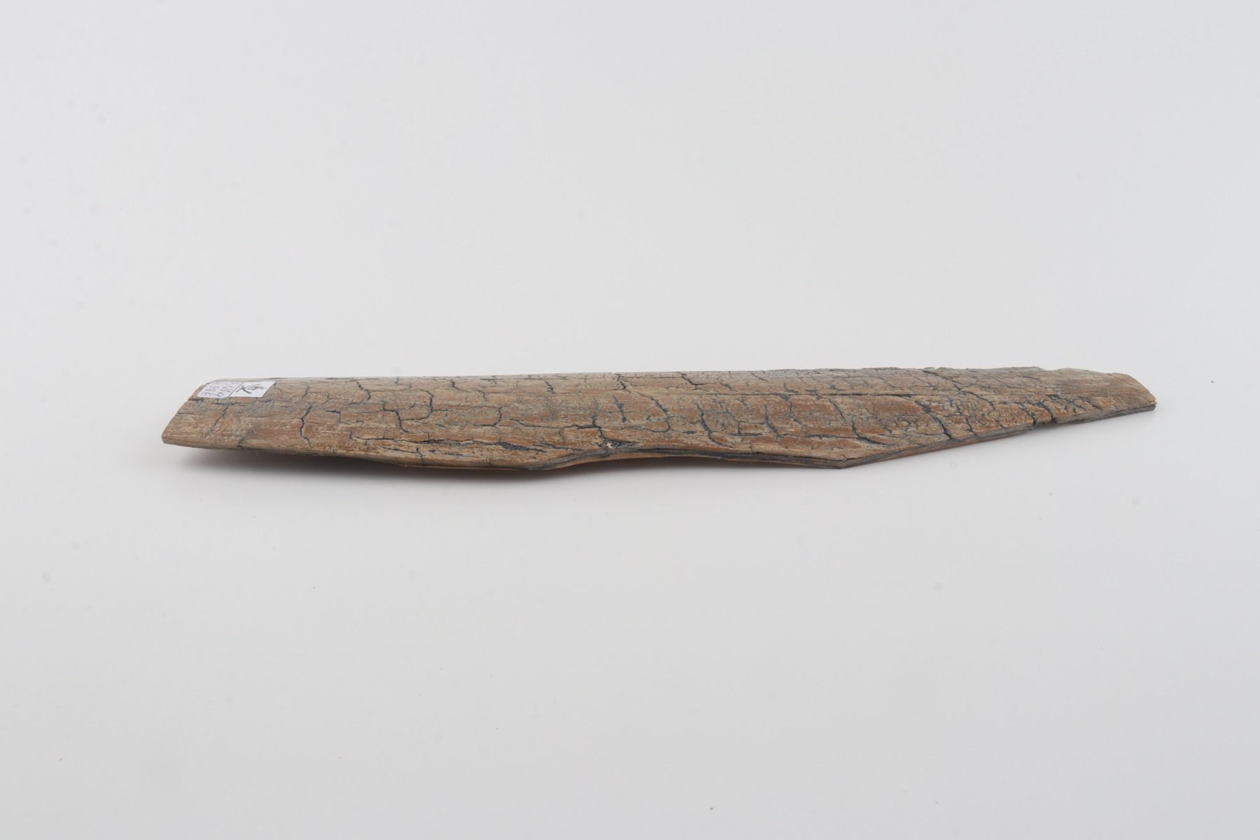 Beige mammoth bark