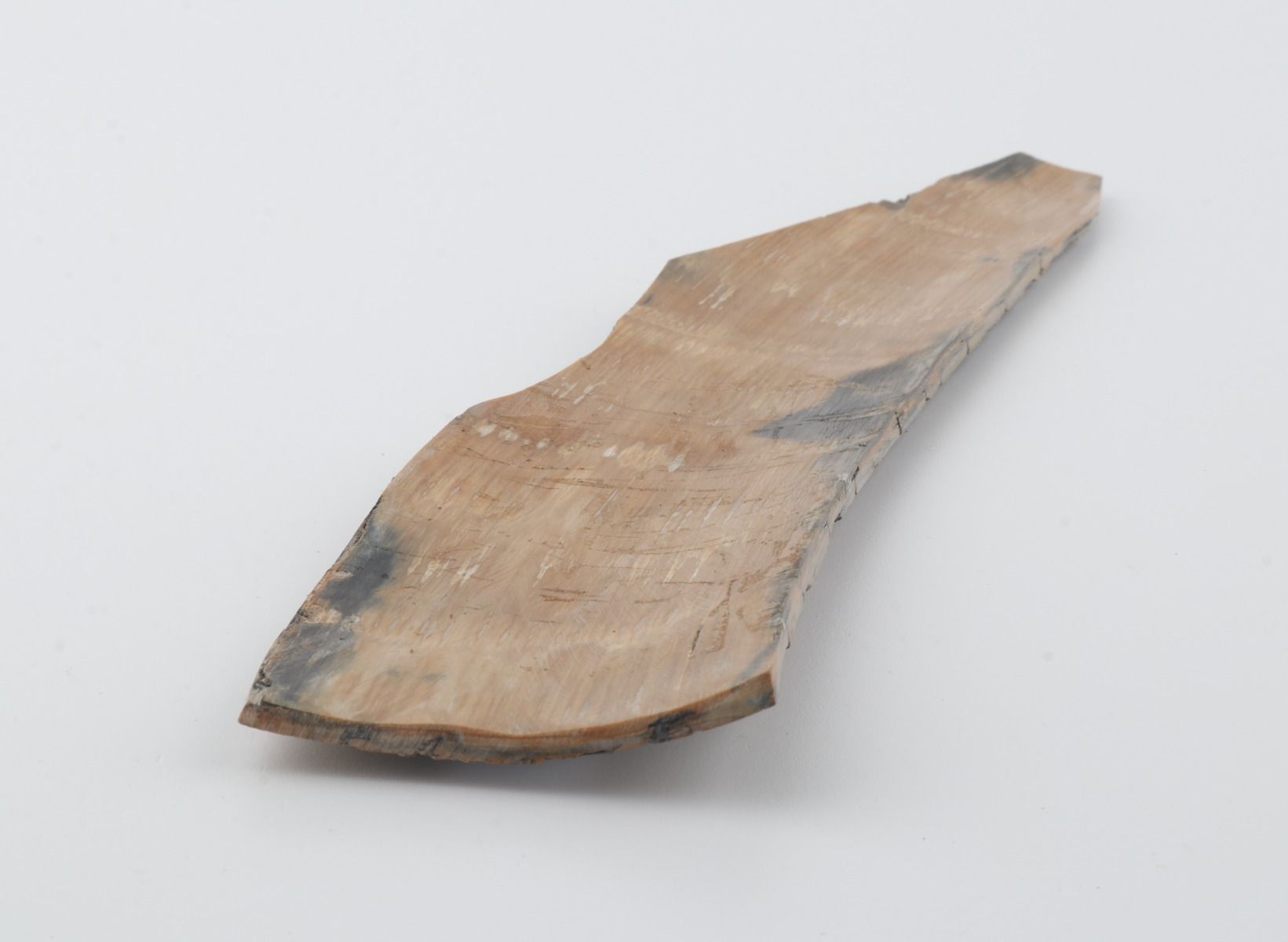 Beige mammoth bark