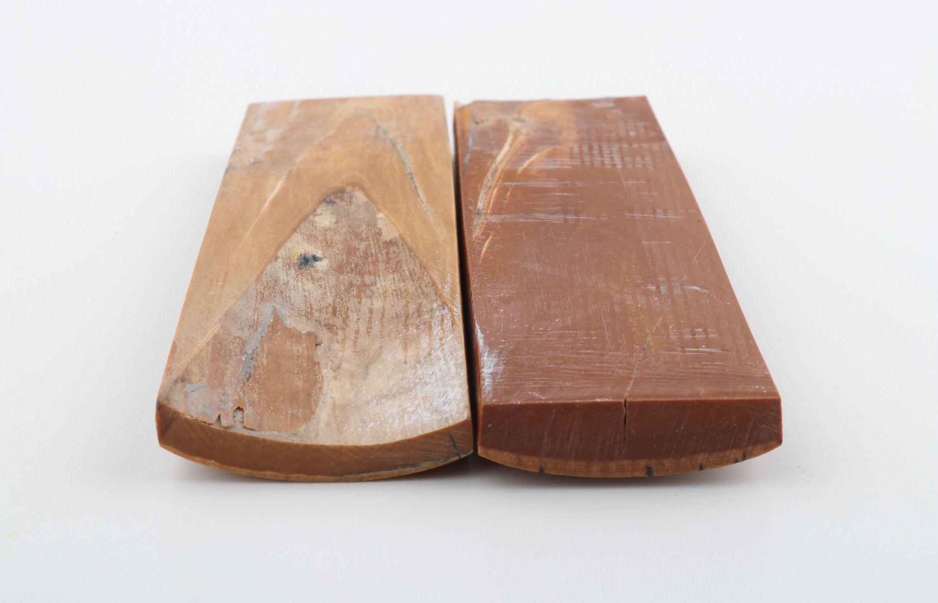 Stabilised mammoth bark scales