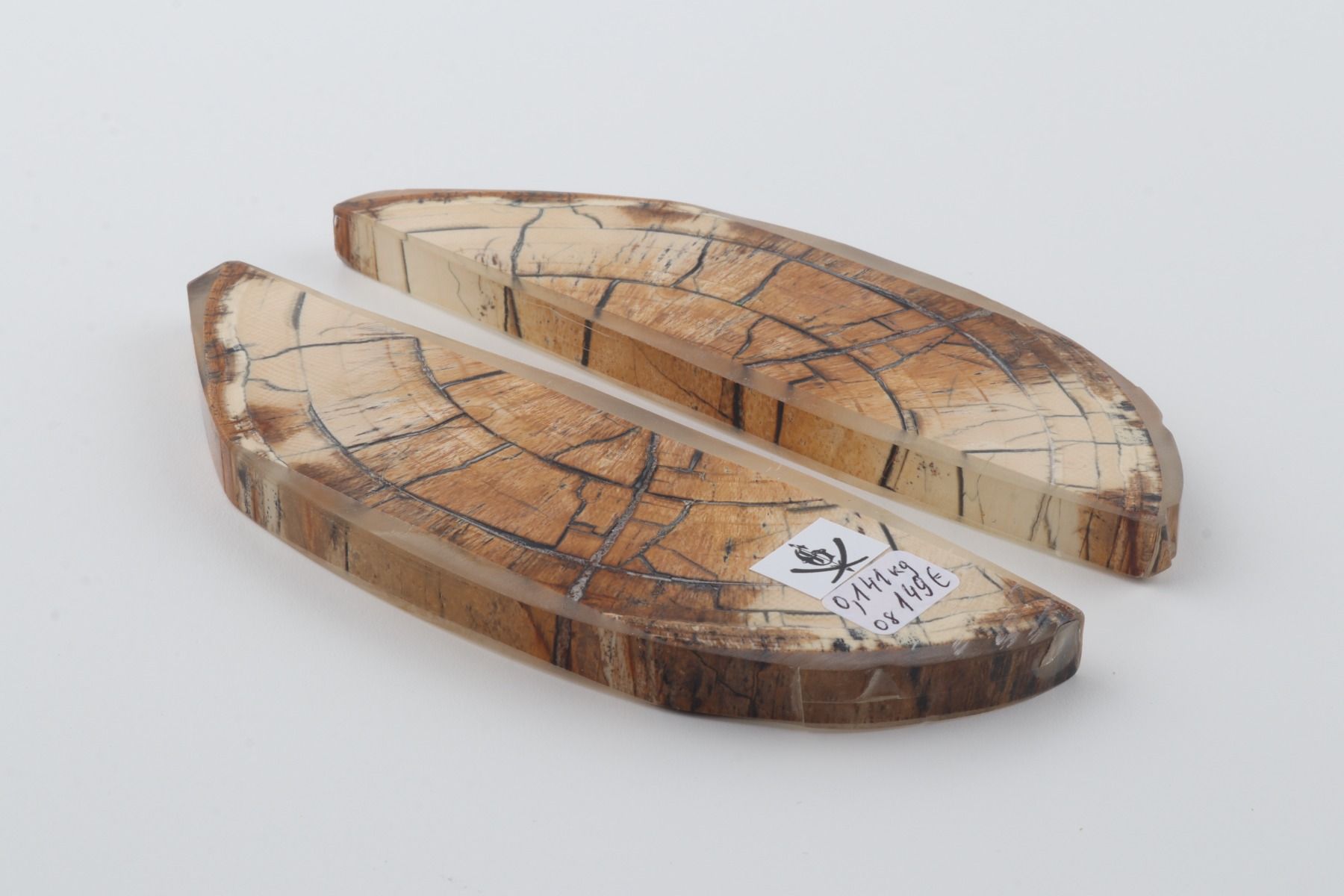 Stabilised mammoth ivory scales