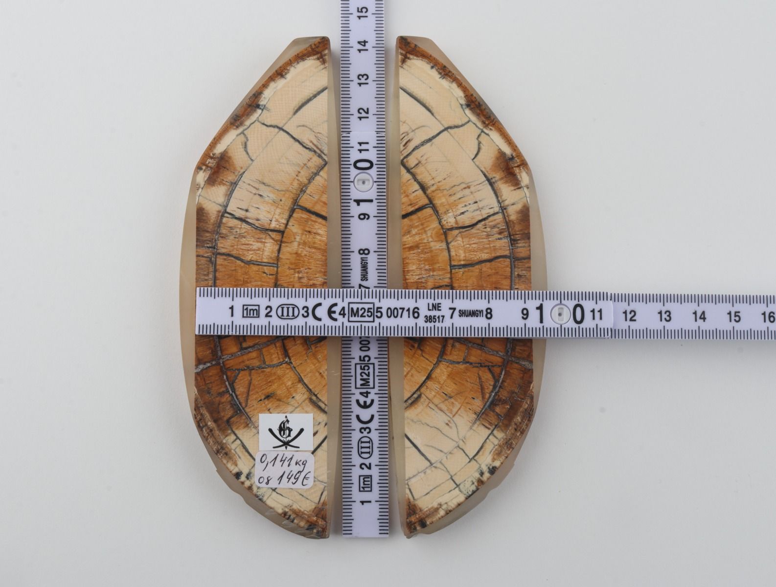 Stabilised mammoth ivory scales