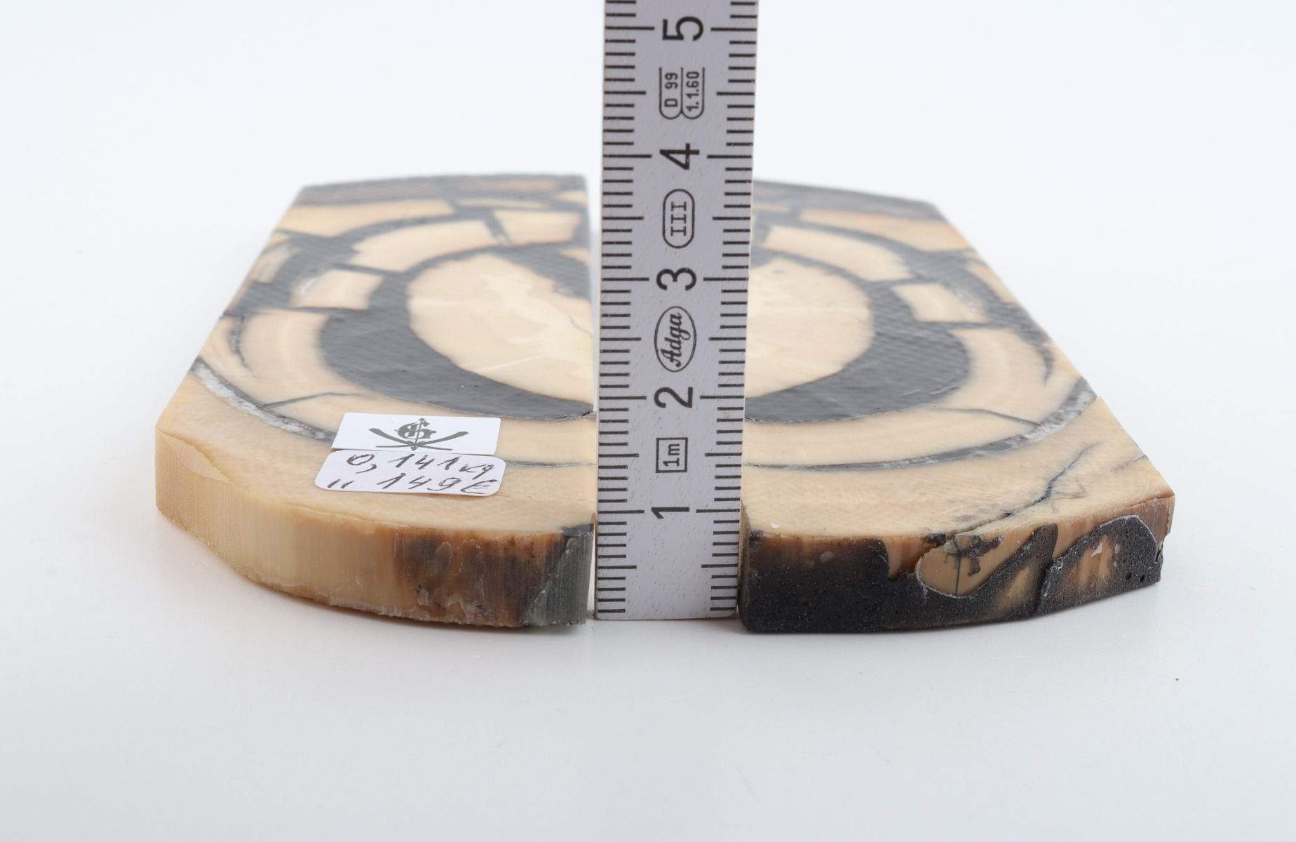 Stabilised mammoth ivory scales