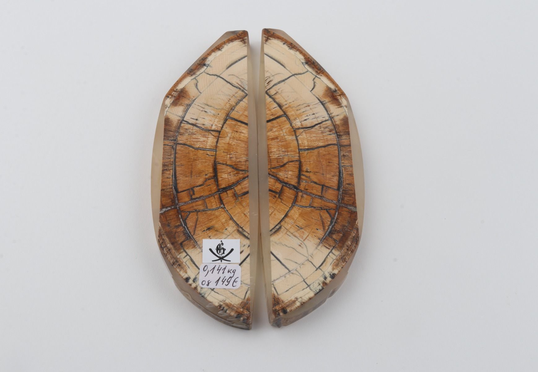 Stabilised mammoth ivory scales