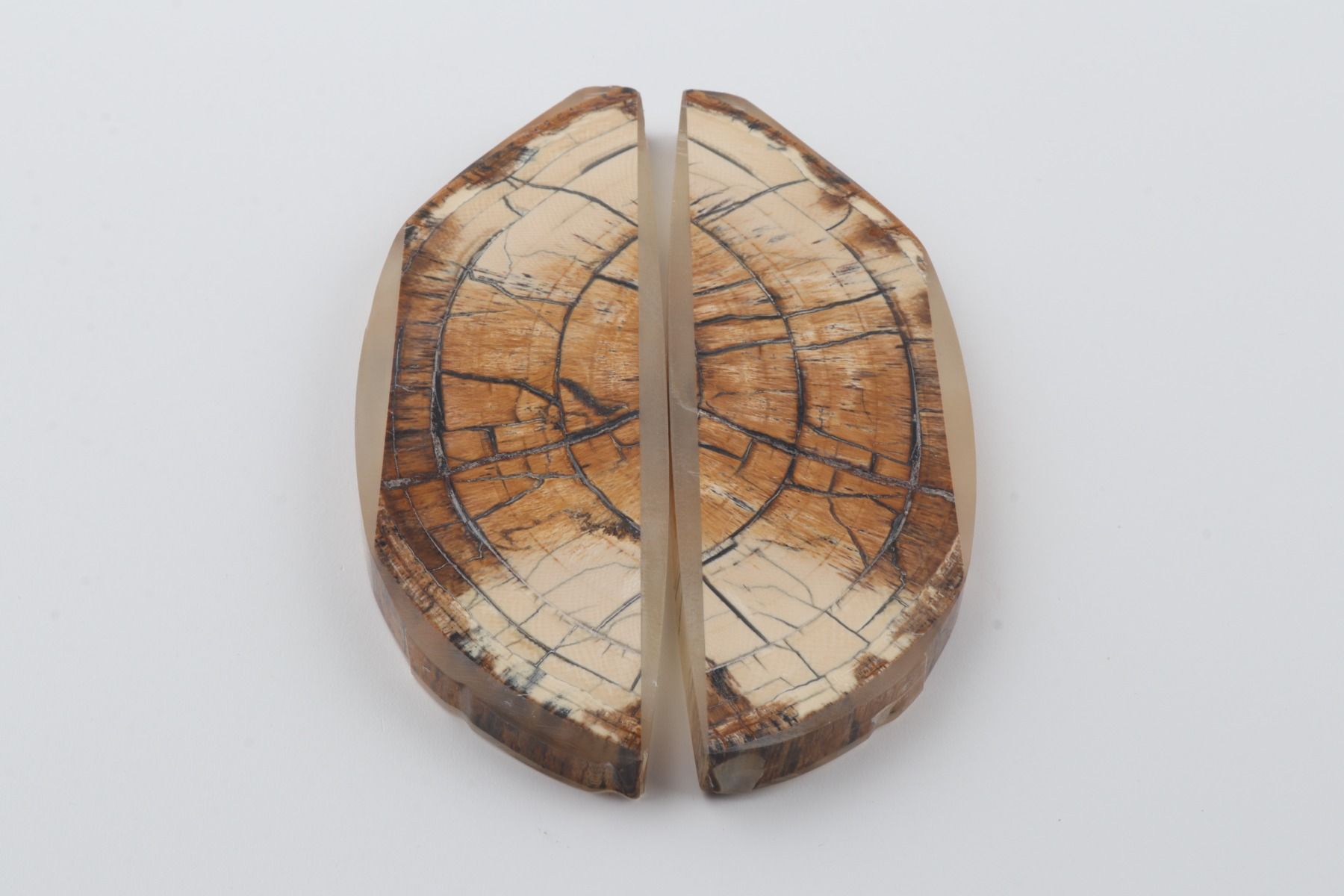 Stabilised mammoth ivory scales