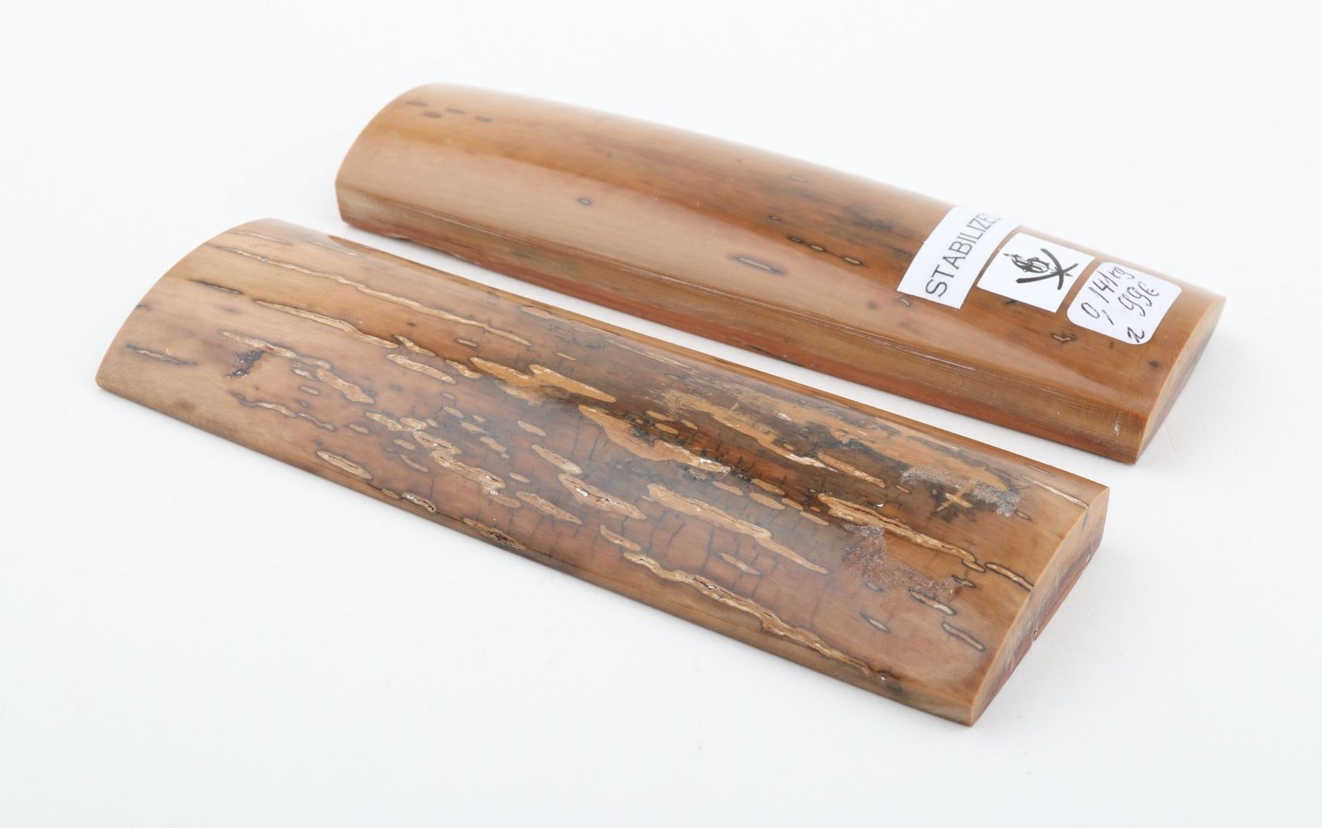 Stabilised mammoth bark scales