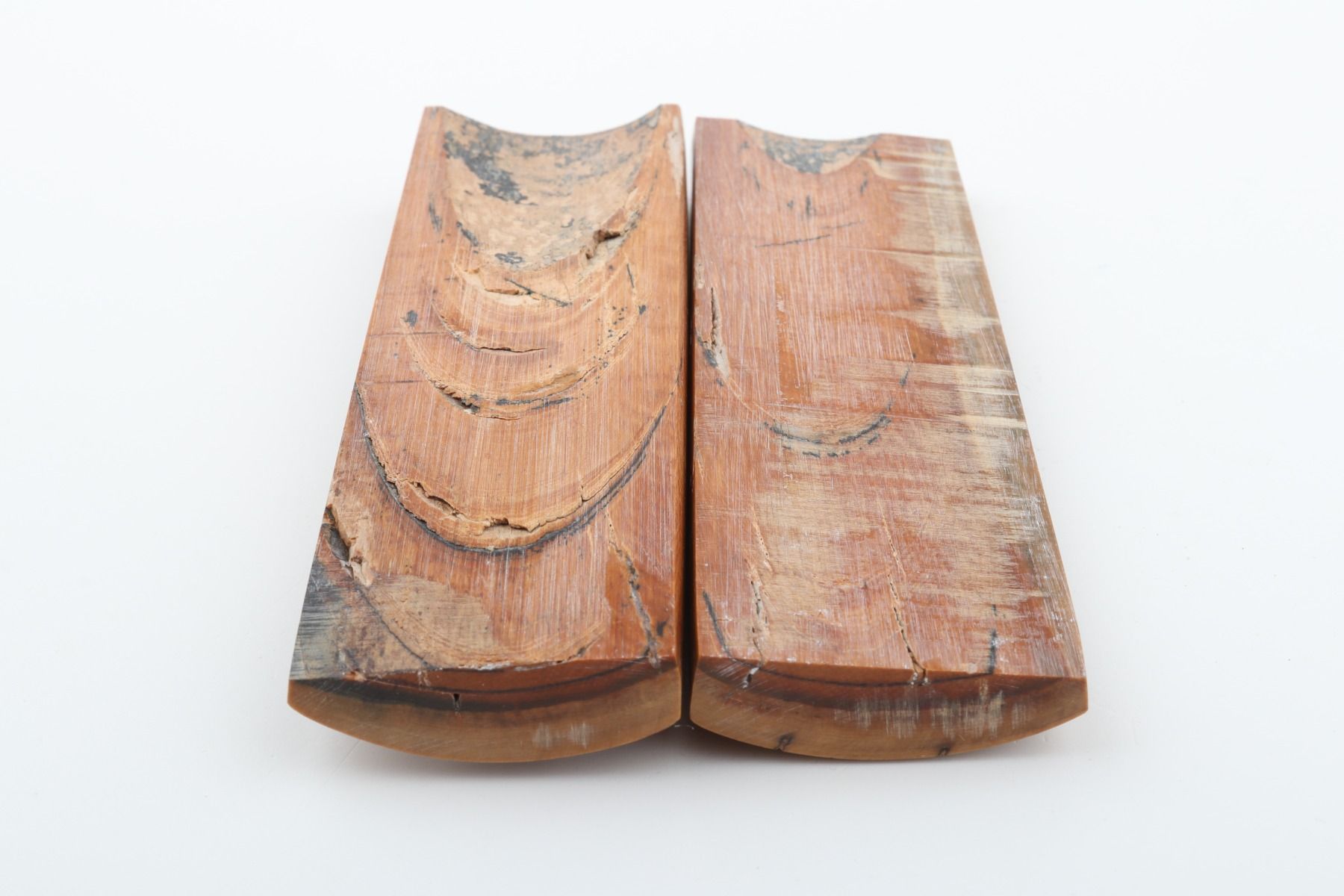 Stabilised mammoth bark scales