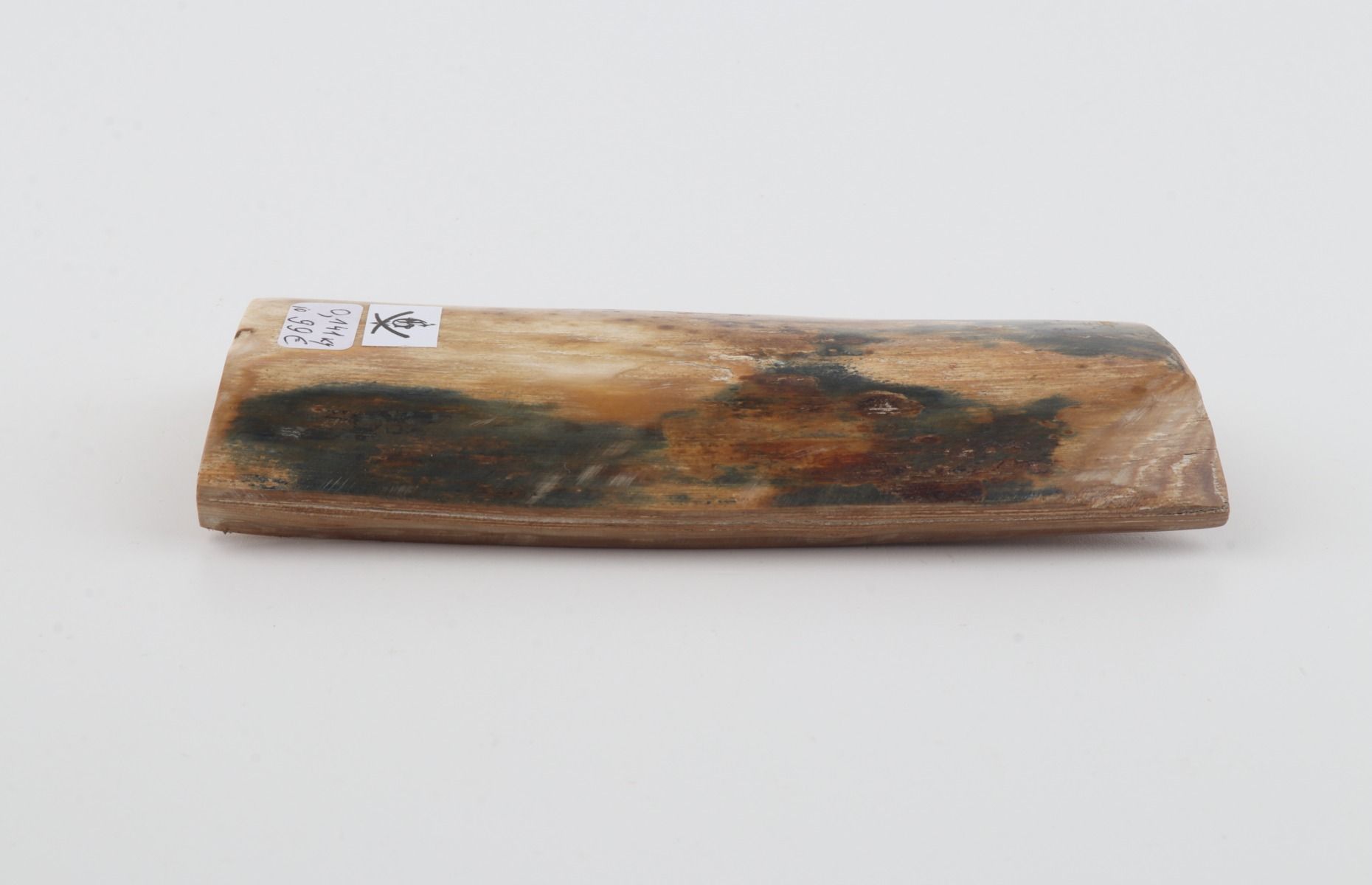 Natural mammoth bark