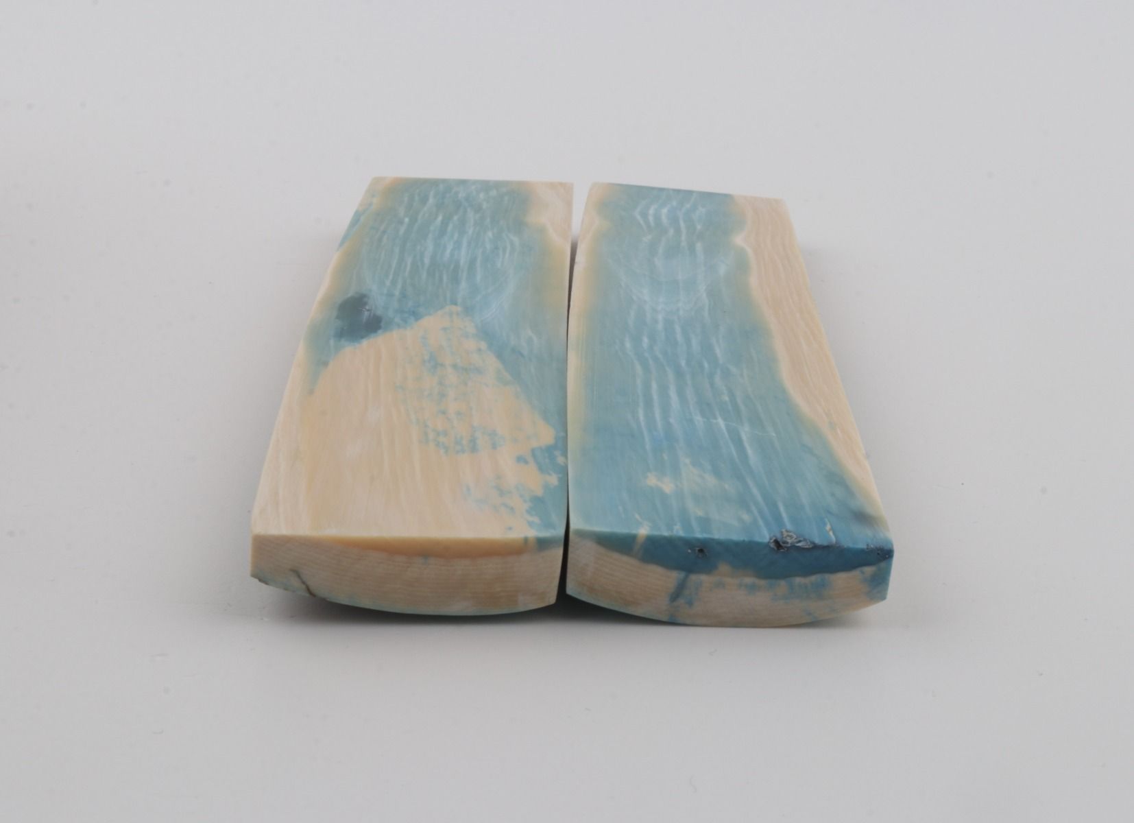 Stabilized mammoth bark scales