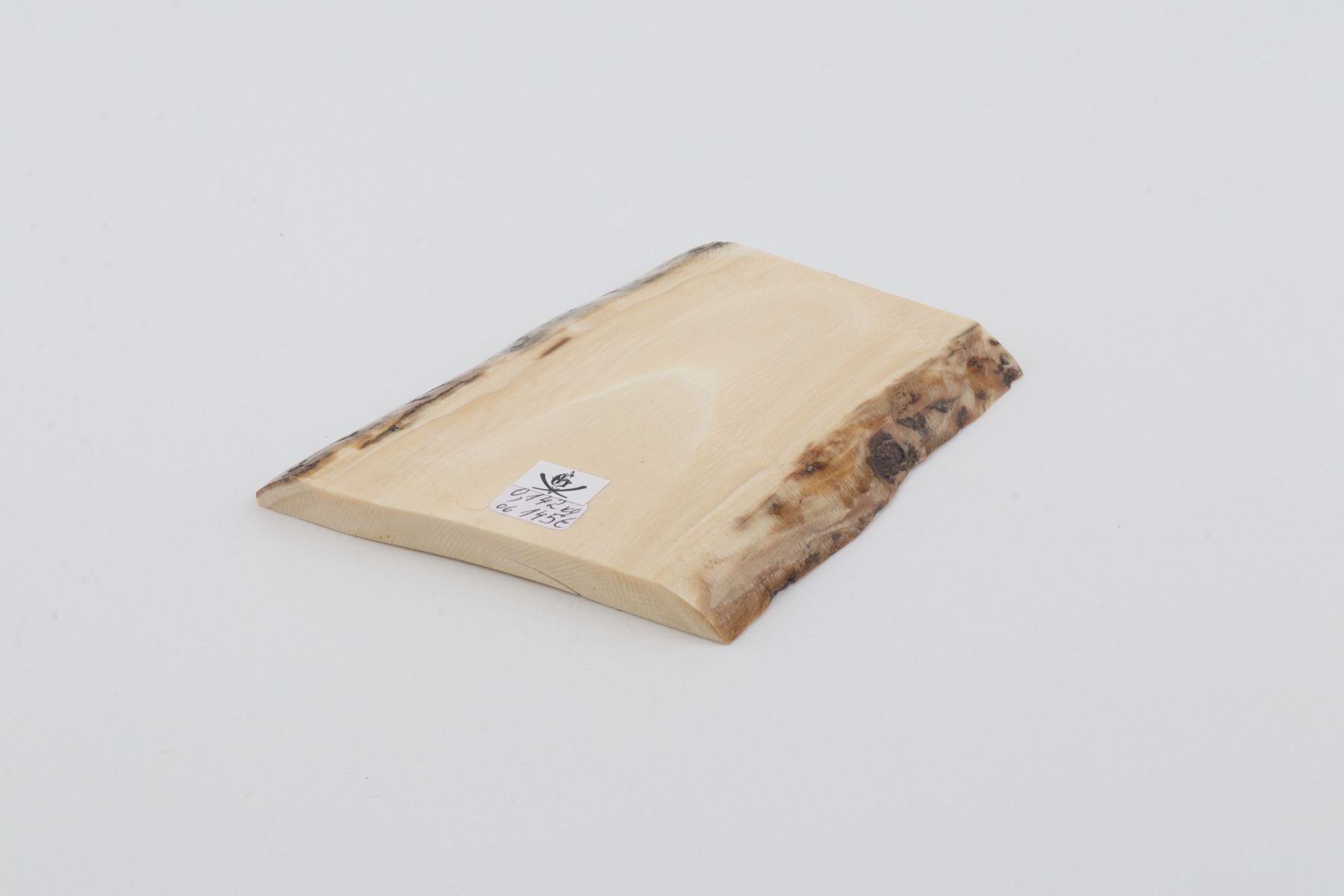White mammoth ivory segment