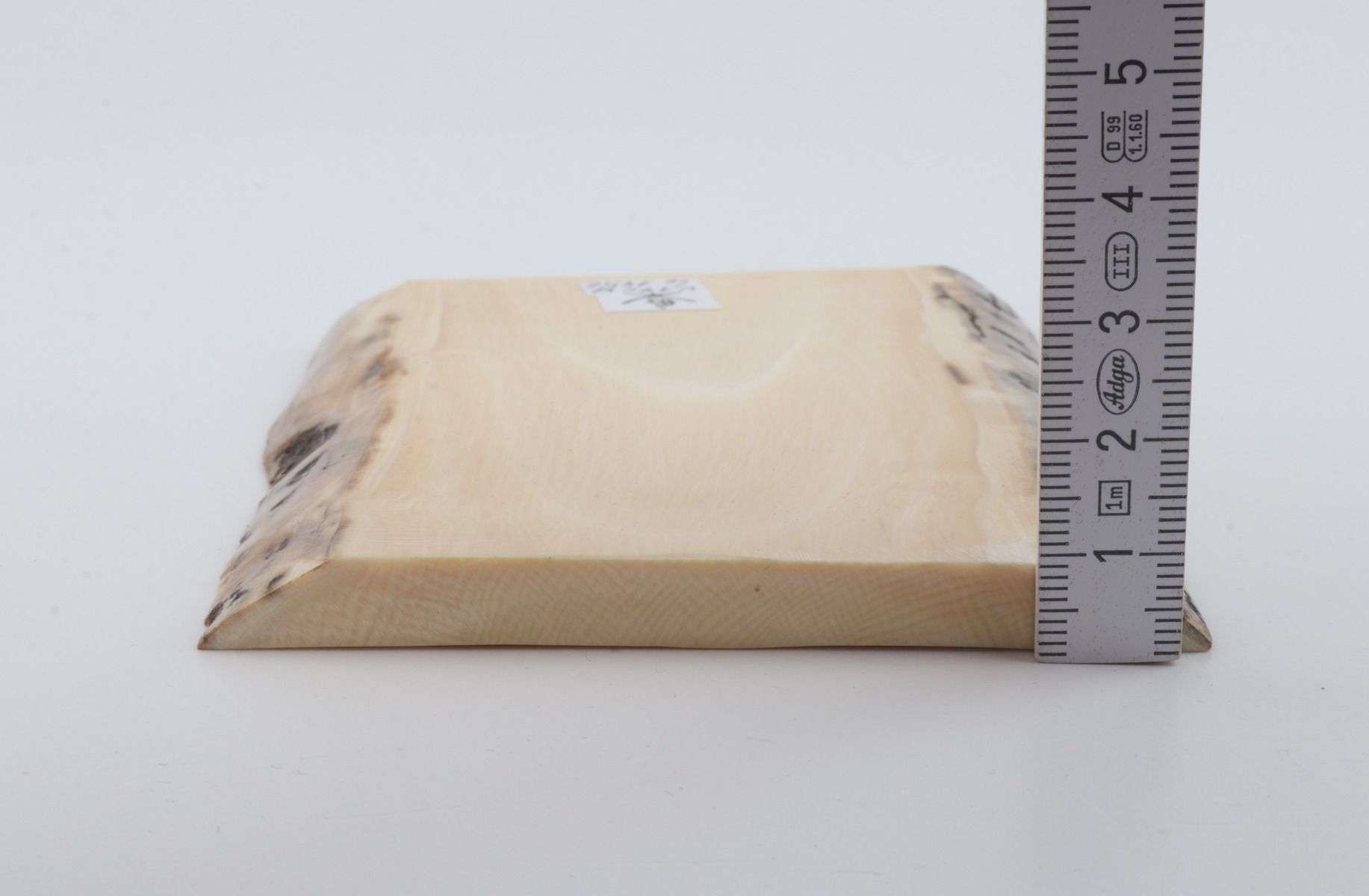 White mammoth ivory segment
